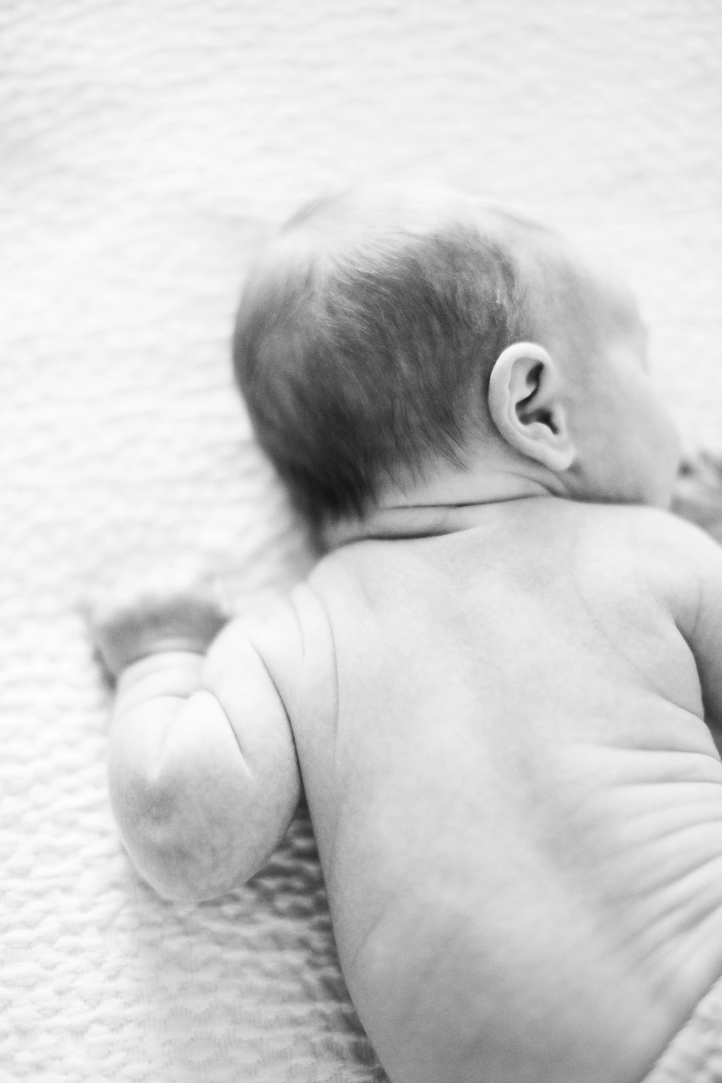columbia_newborn_photographer_16.jpg
