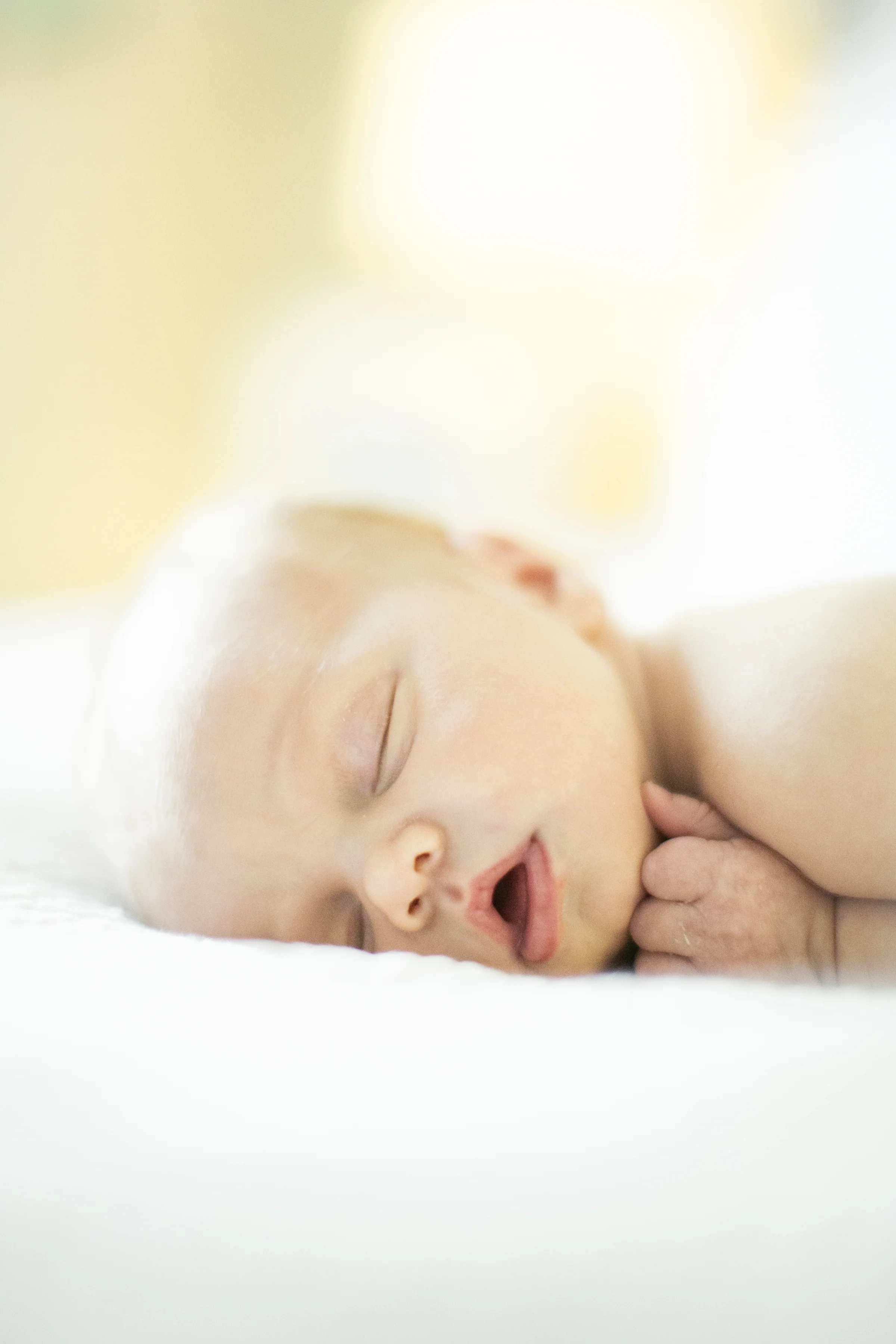 columbia_newborn_photographer_17.jpg