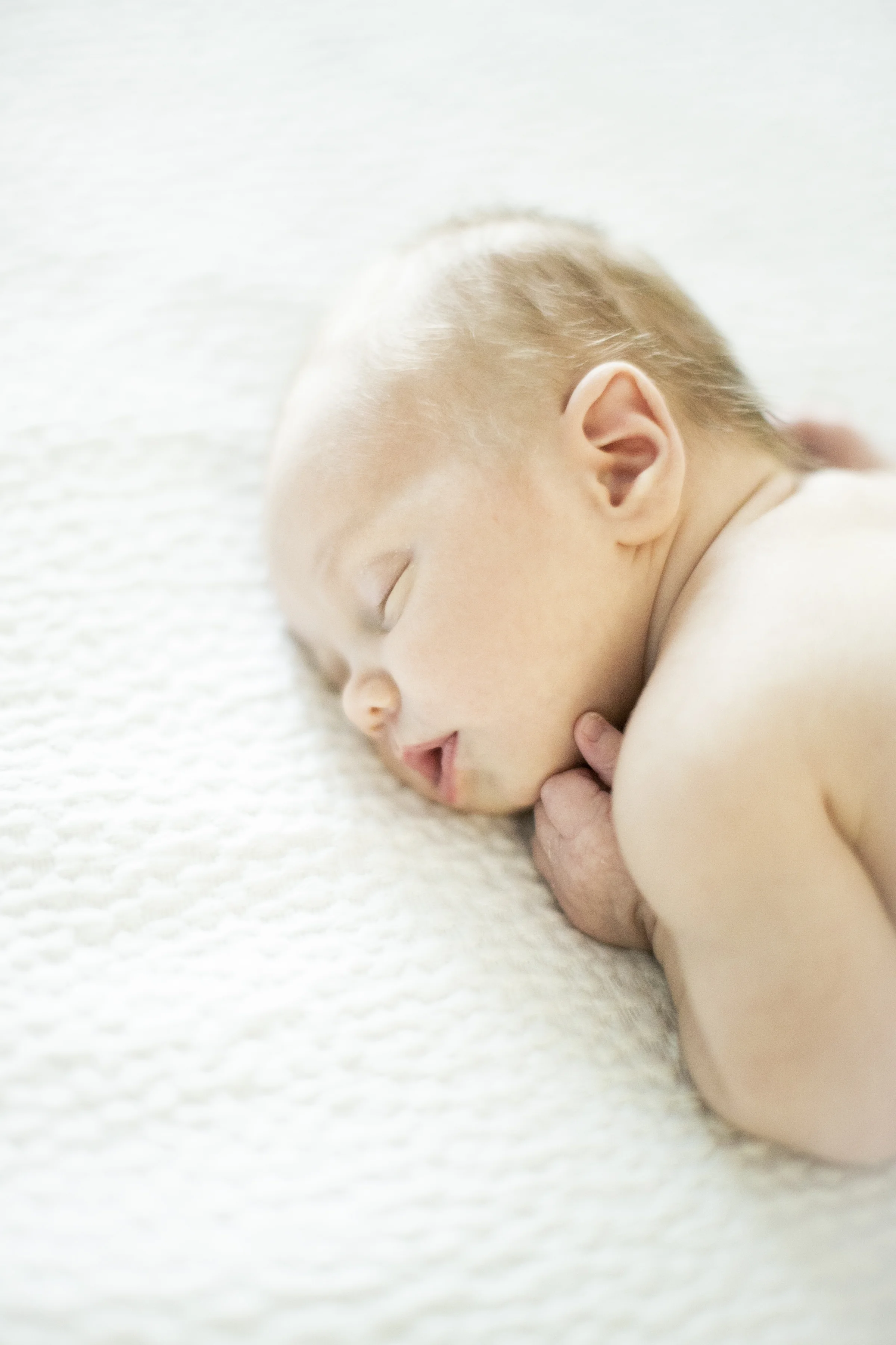 columbia_newborn_photographer_15.jpg