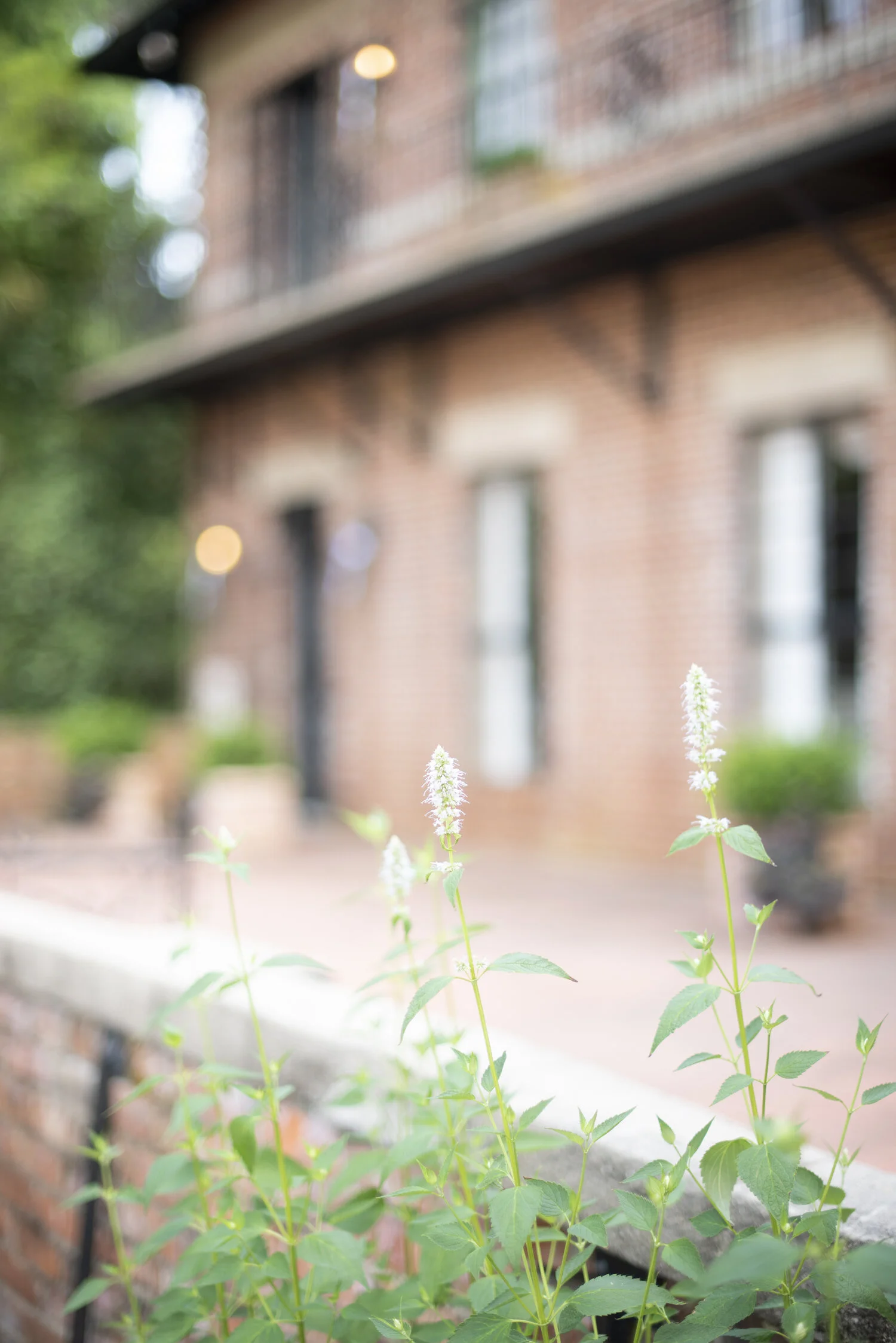 columbia_sc_photographer_753.jpg