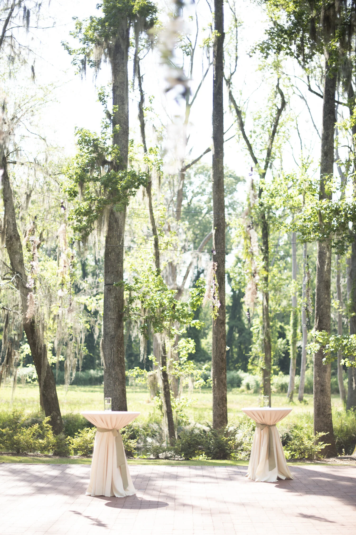 columbia_sc_photographer_803.jpg