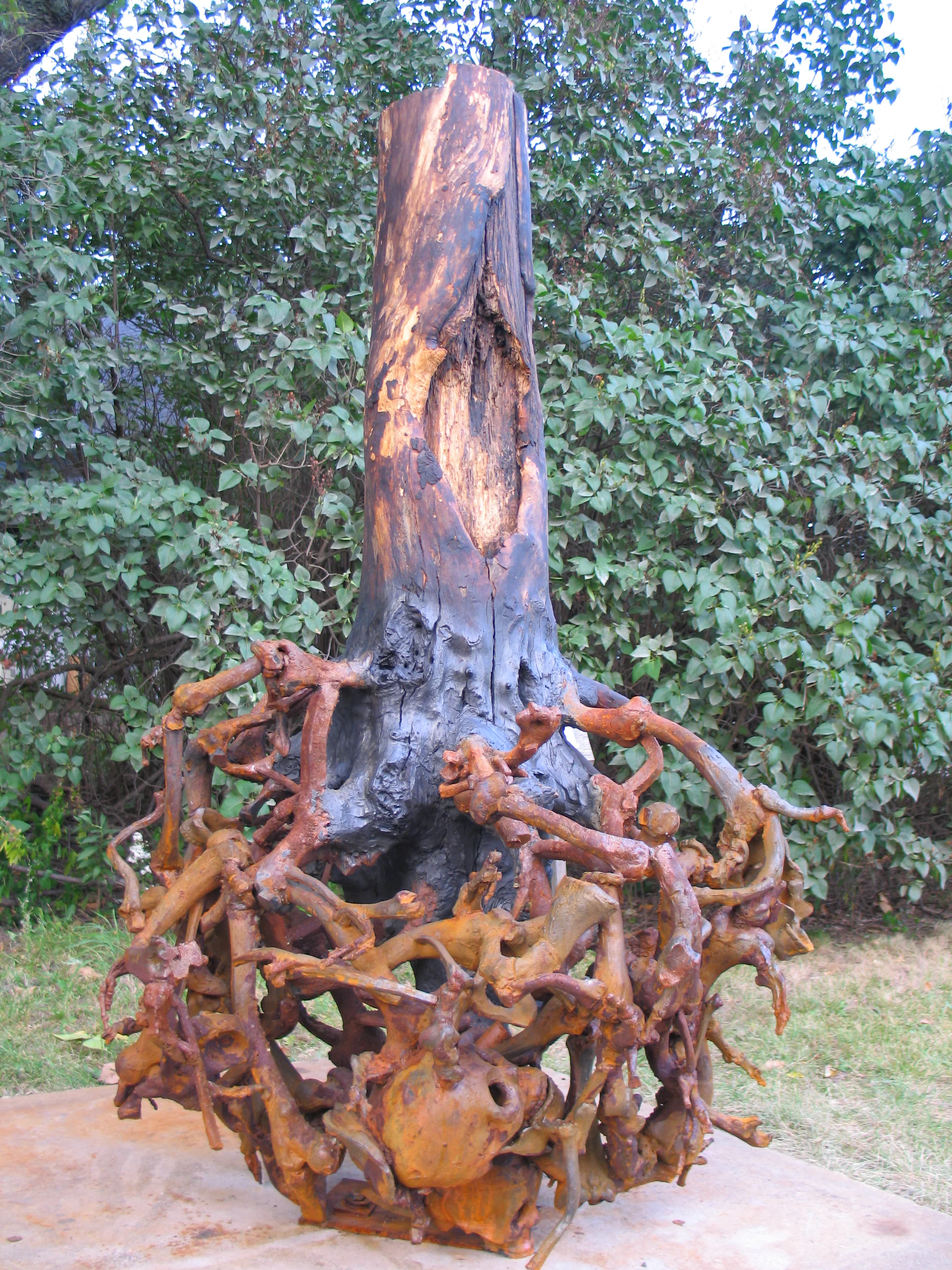 The Roots of Trees as Bones