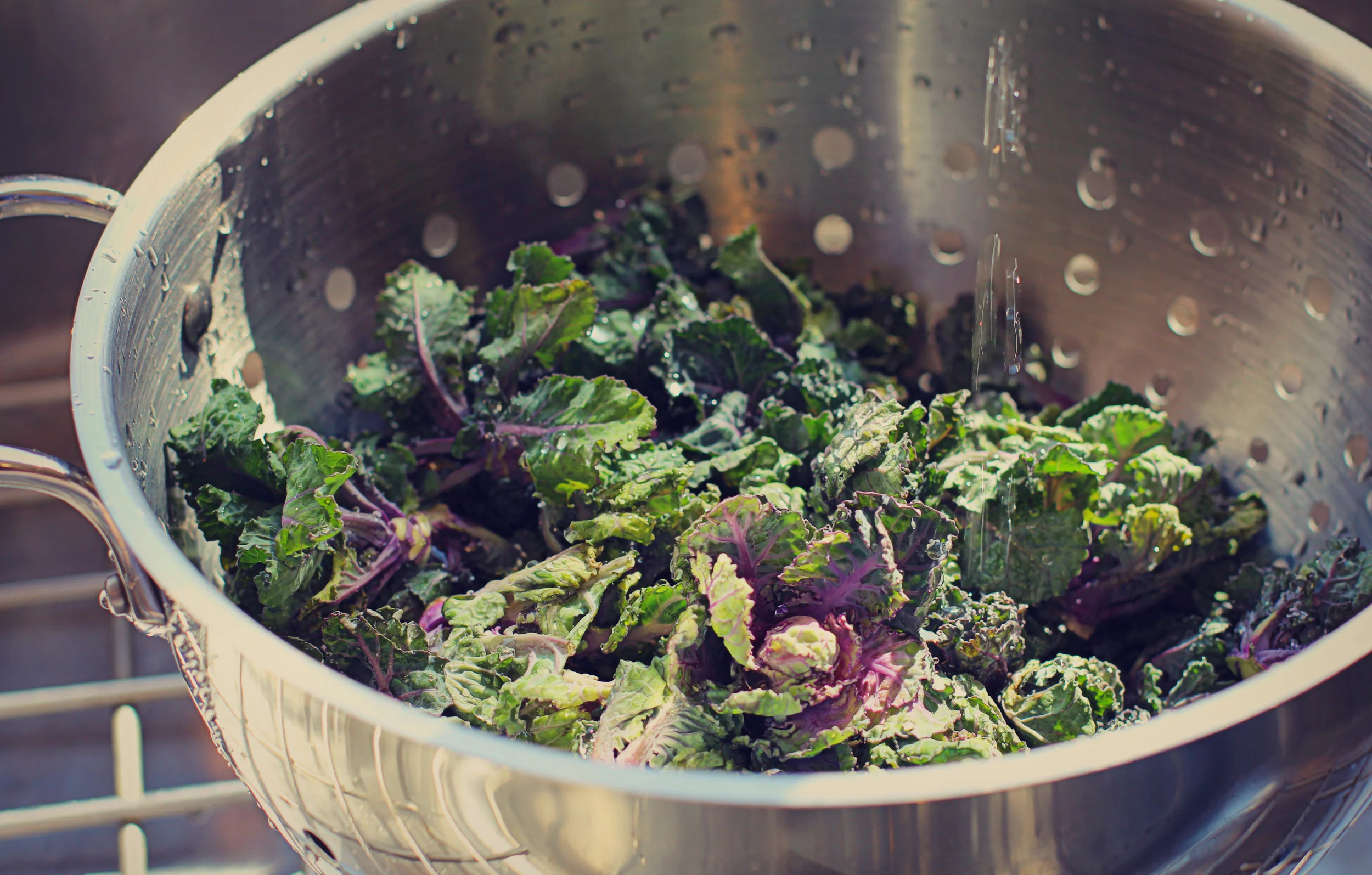 kale 4.jpg