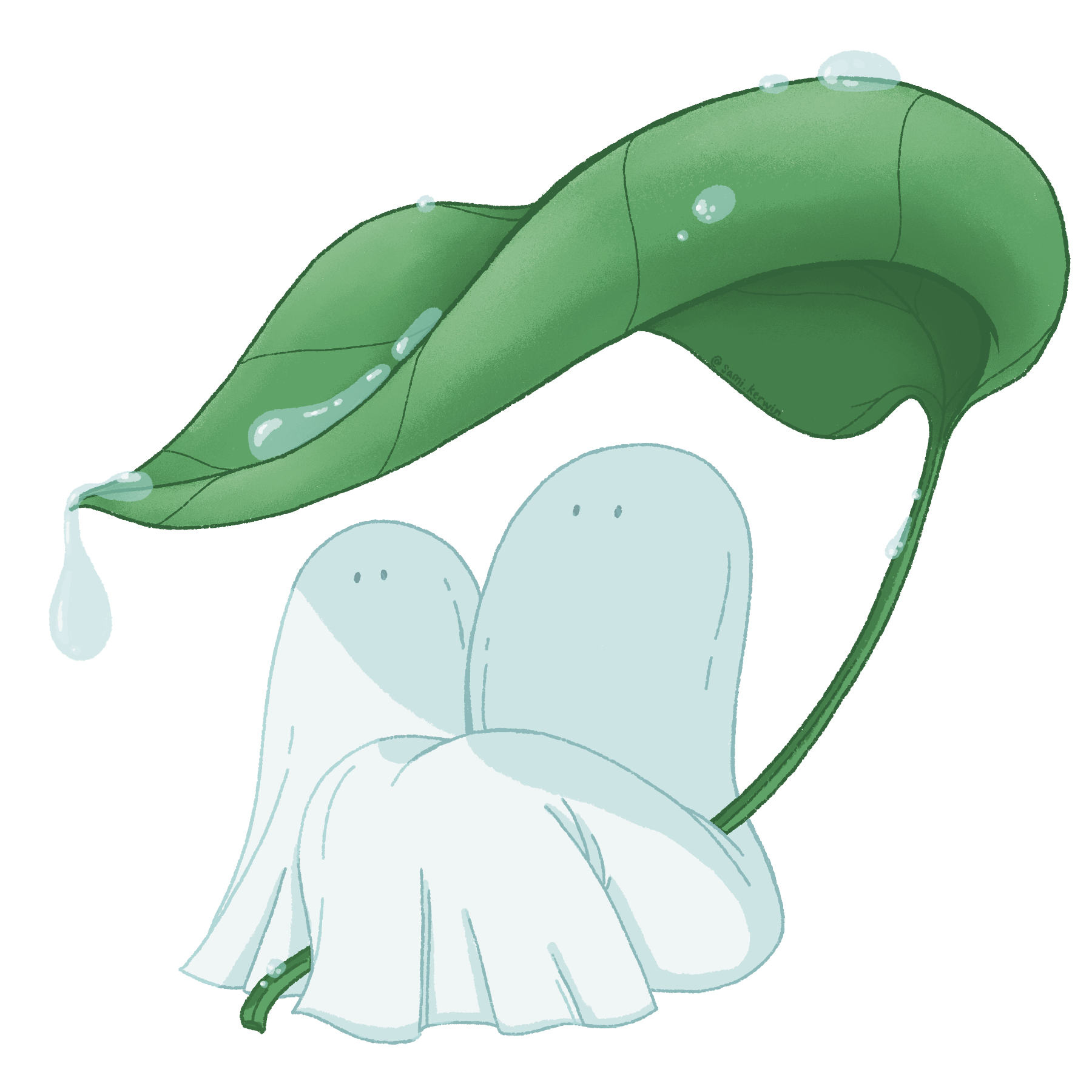 IMG_0462.PNG