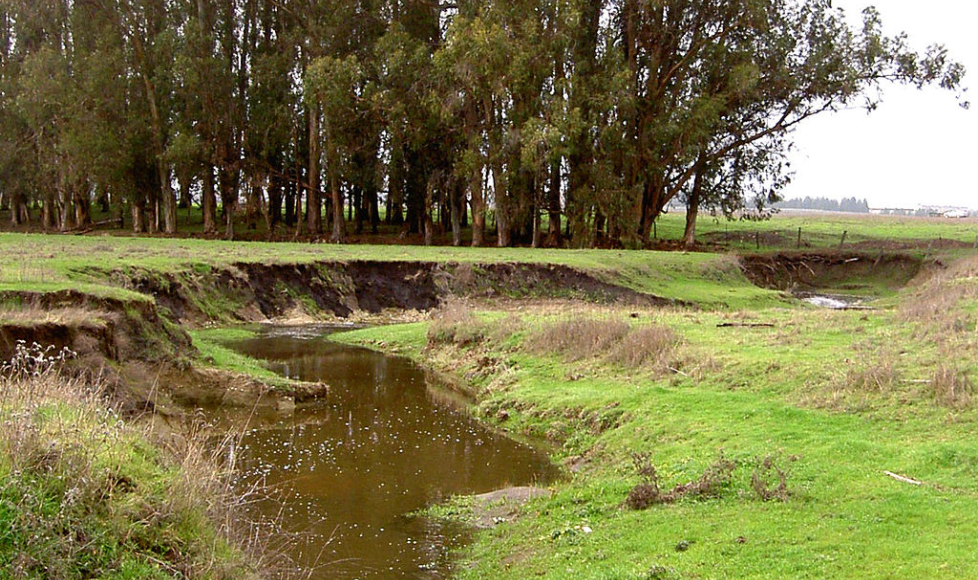 Lichau Creek, Sonoma County