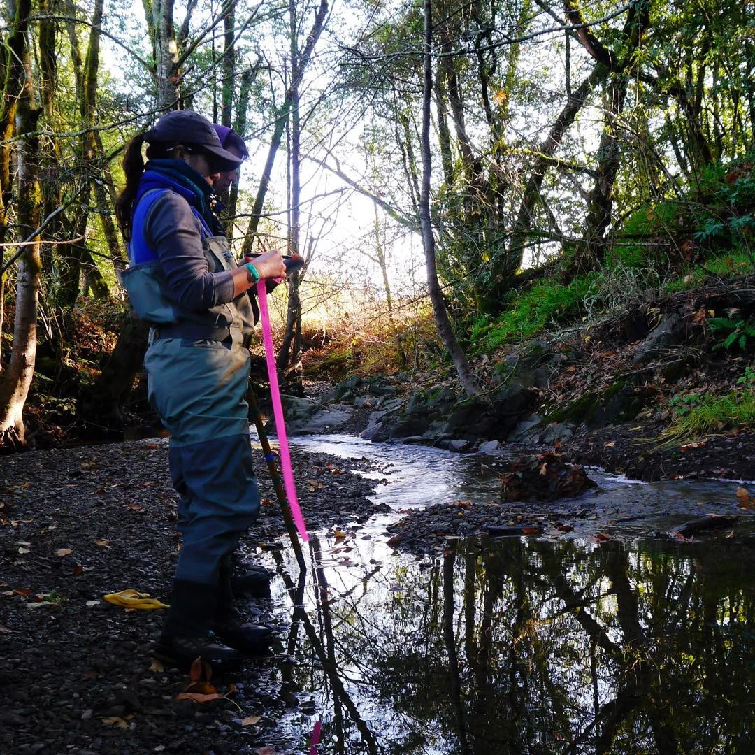 This creek is much more beautiful in person. Sign up now!