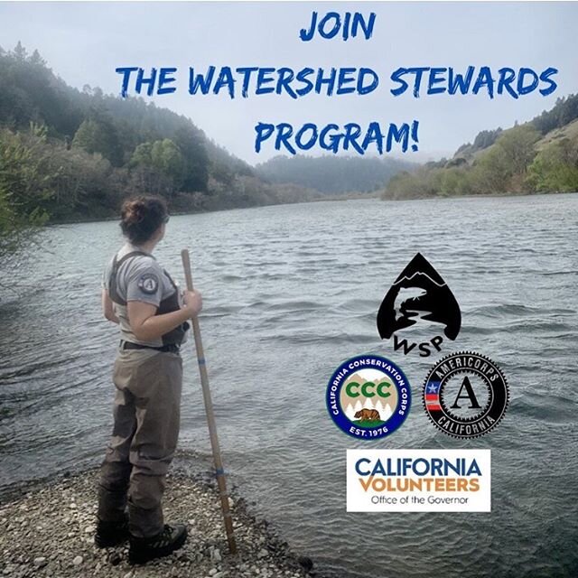 If you or someone you know is looking to launch a career as a fisheries scientist, there aren&rsquo;t many better jumping off points than the WSP program. 
Repost from @russianriversalmon
&bull;
Interested in how you can help save endangered coho sal