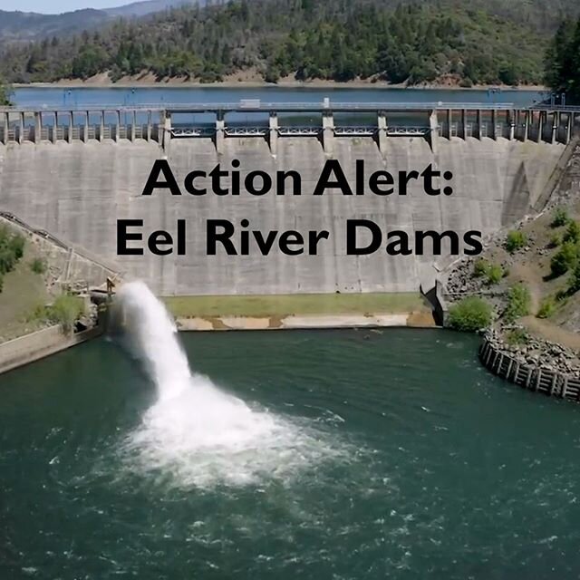 ACTION ALERT: 
Last month, a coalition of five Russian and Eel River interests, the Two Basin Partnership, filed a Feasibility Study Report with the Federal Energy Regulatory Commission (FERC). The proposal would see a Regional Entity taking local co