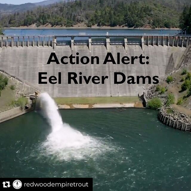 We&rsquo;re reposting ourselves to remind you that comments are due by this weekend (June 28th). Hit the link in our bio for instructions on how to comment in support of reconnecting important habitat on the mighty Eel River
