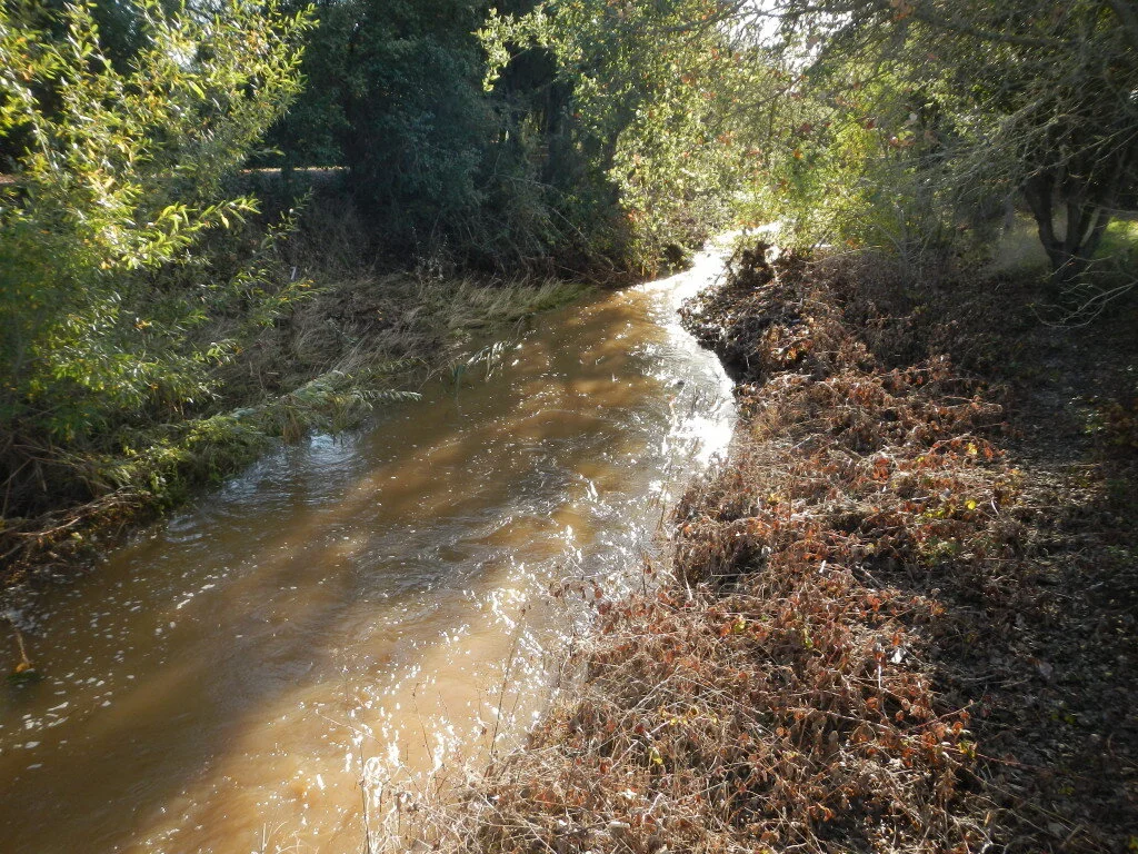 ColganCreekRestoration2.jpeg