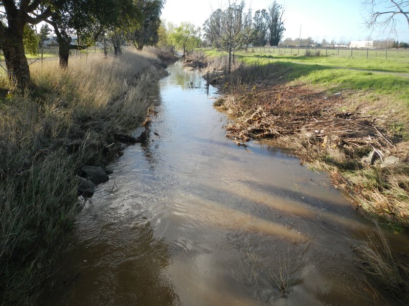 Dutton Meadow