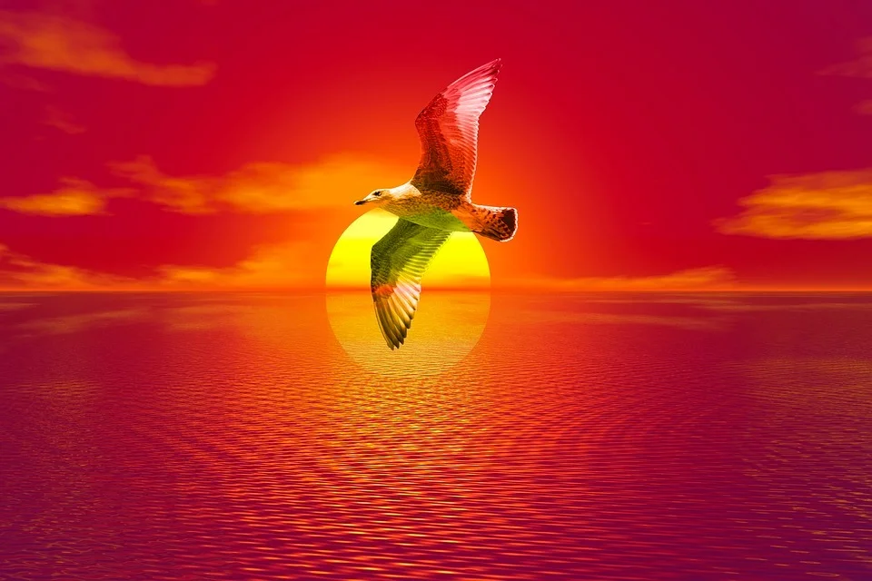 The Best Description of The Spiritual Path Ever!