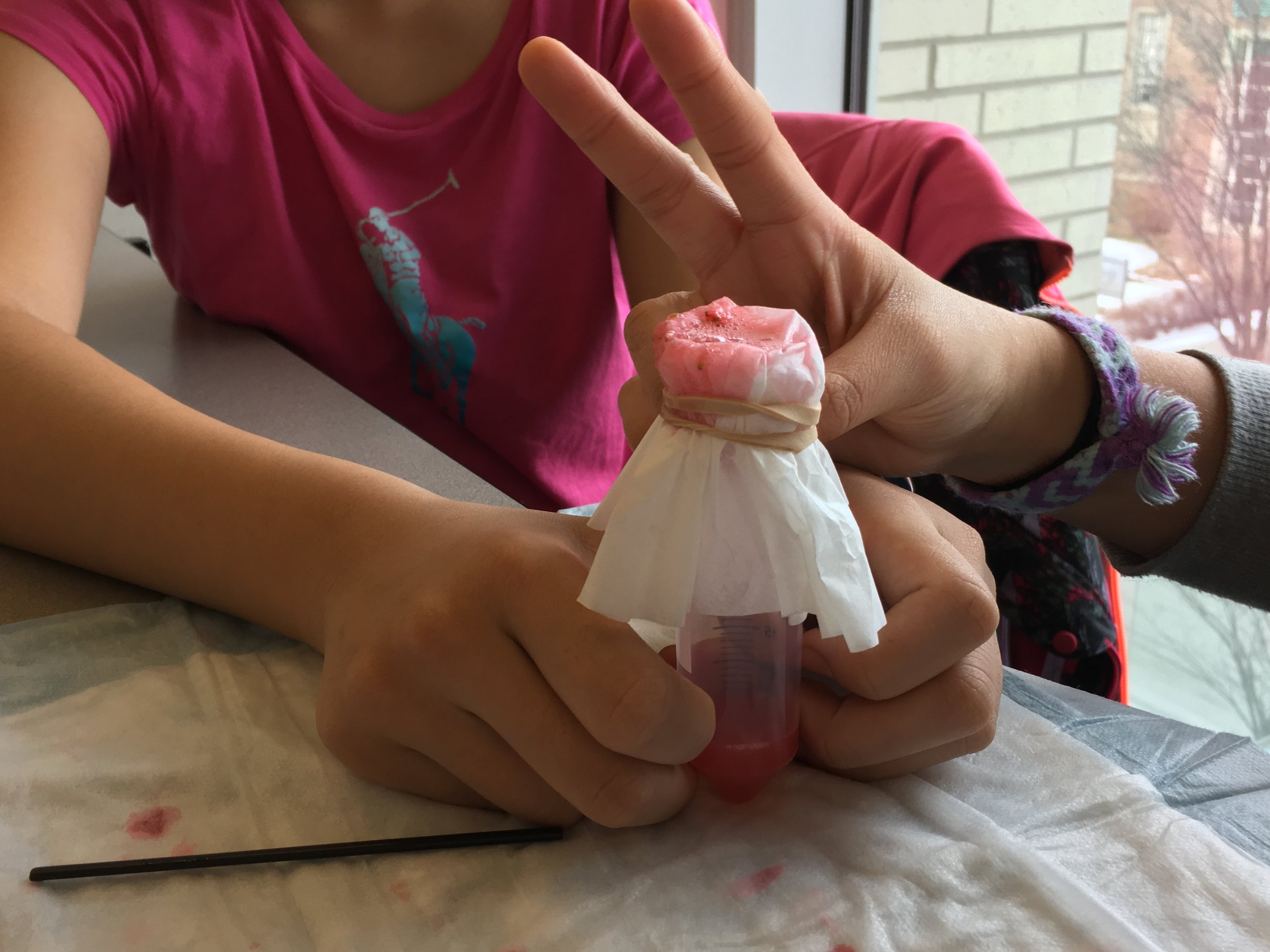 Girls in STEM & Introduction to DNA Workshop 