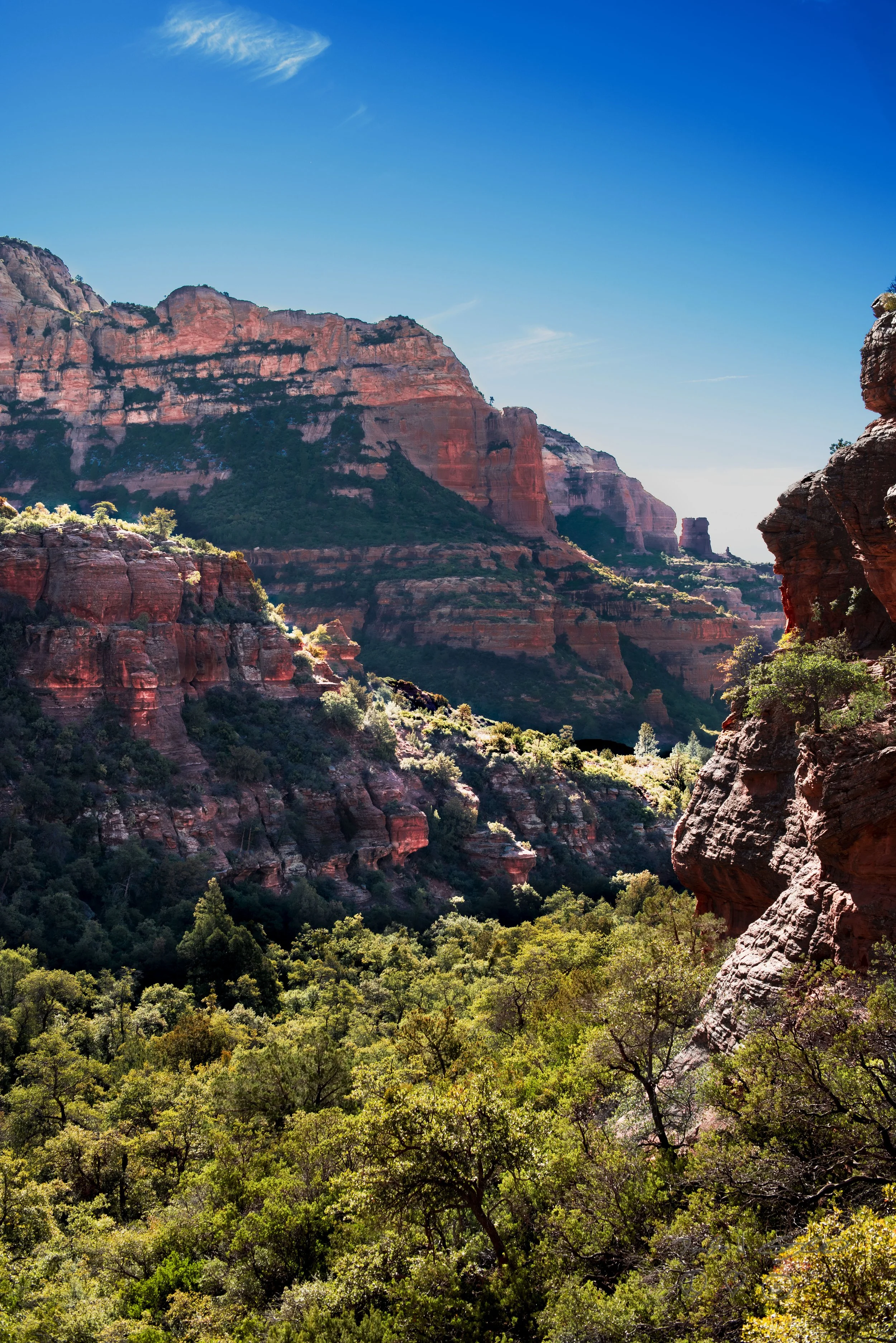 Boynton Canyon, Sedona, AX