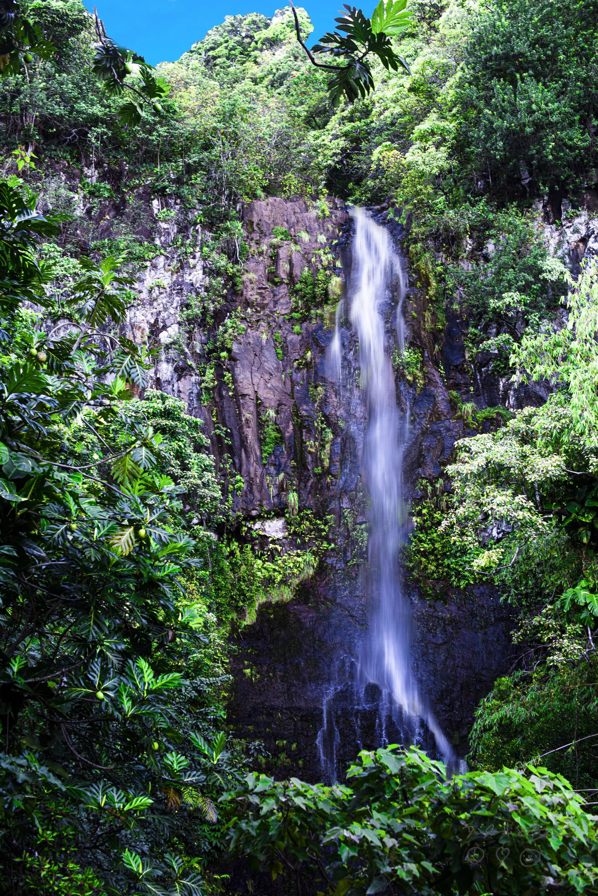 Waterfall on the Road to Hana, Maui, HI