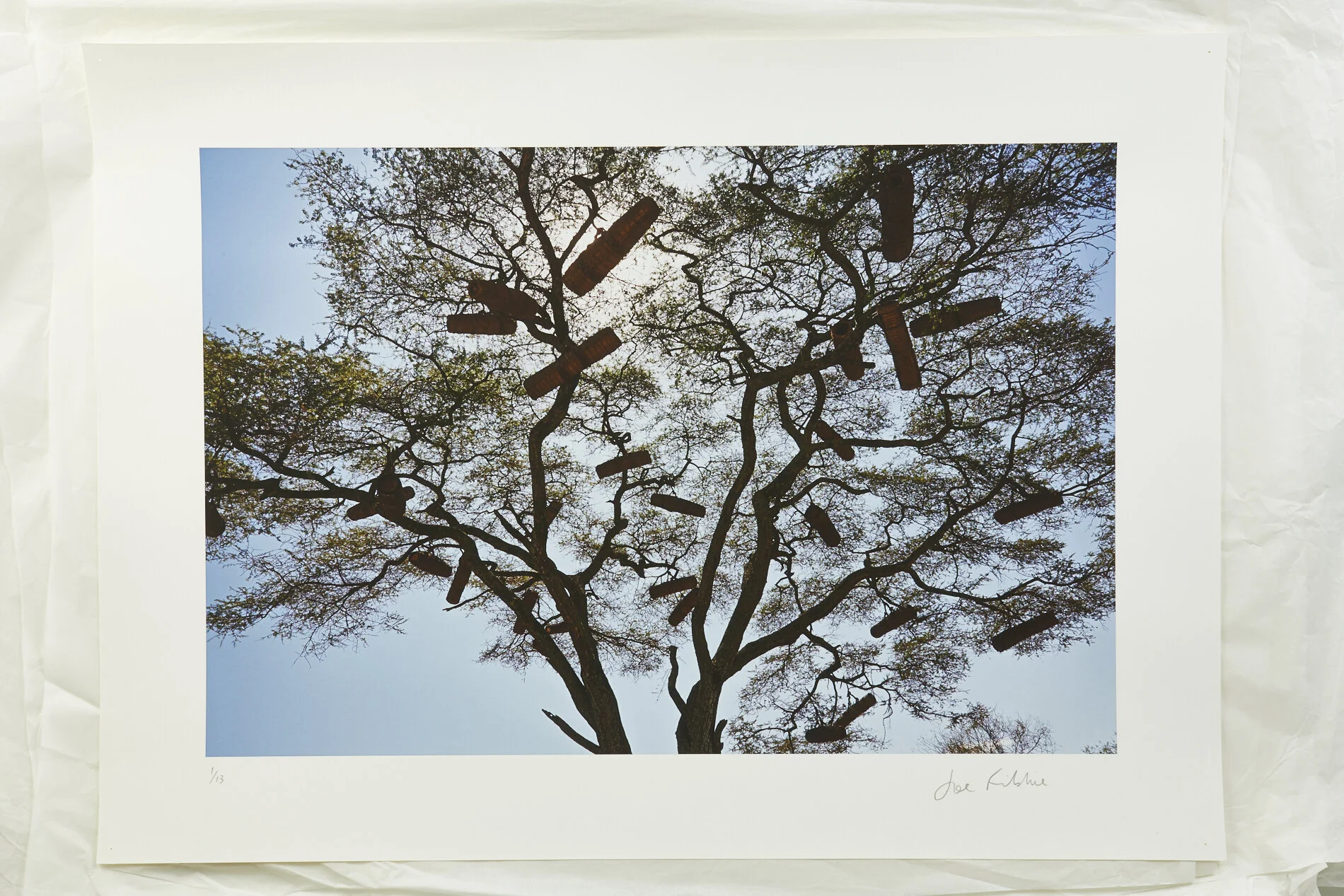 Bee Hives in the Savanna_21.jpg