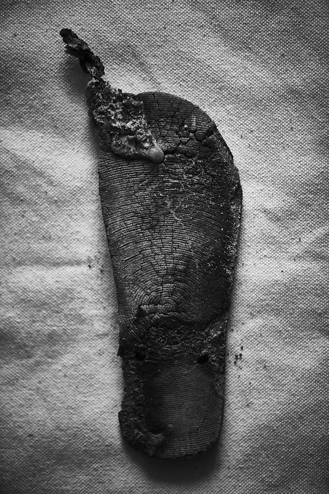 Tortured Sole.jpg