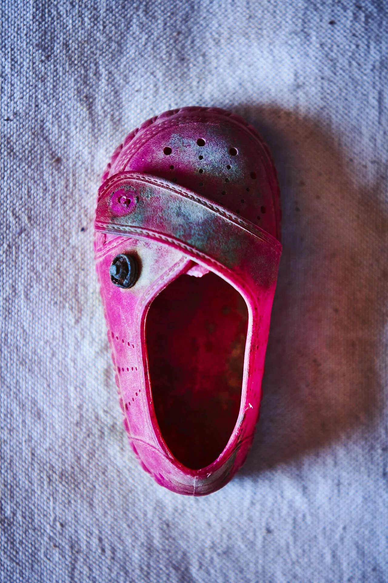 Little Pink Sole.jpg