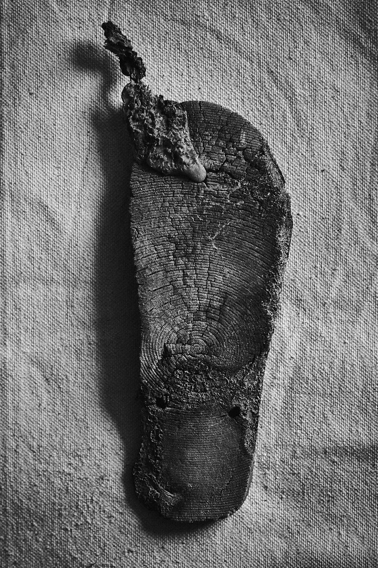 Tortured Sole.jpg