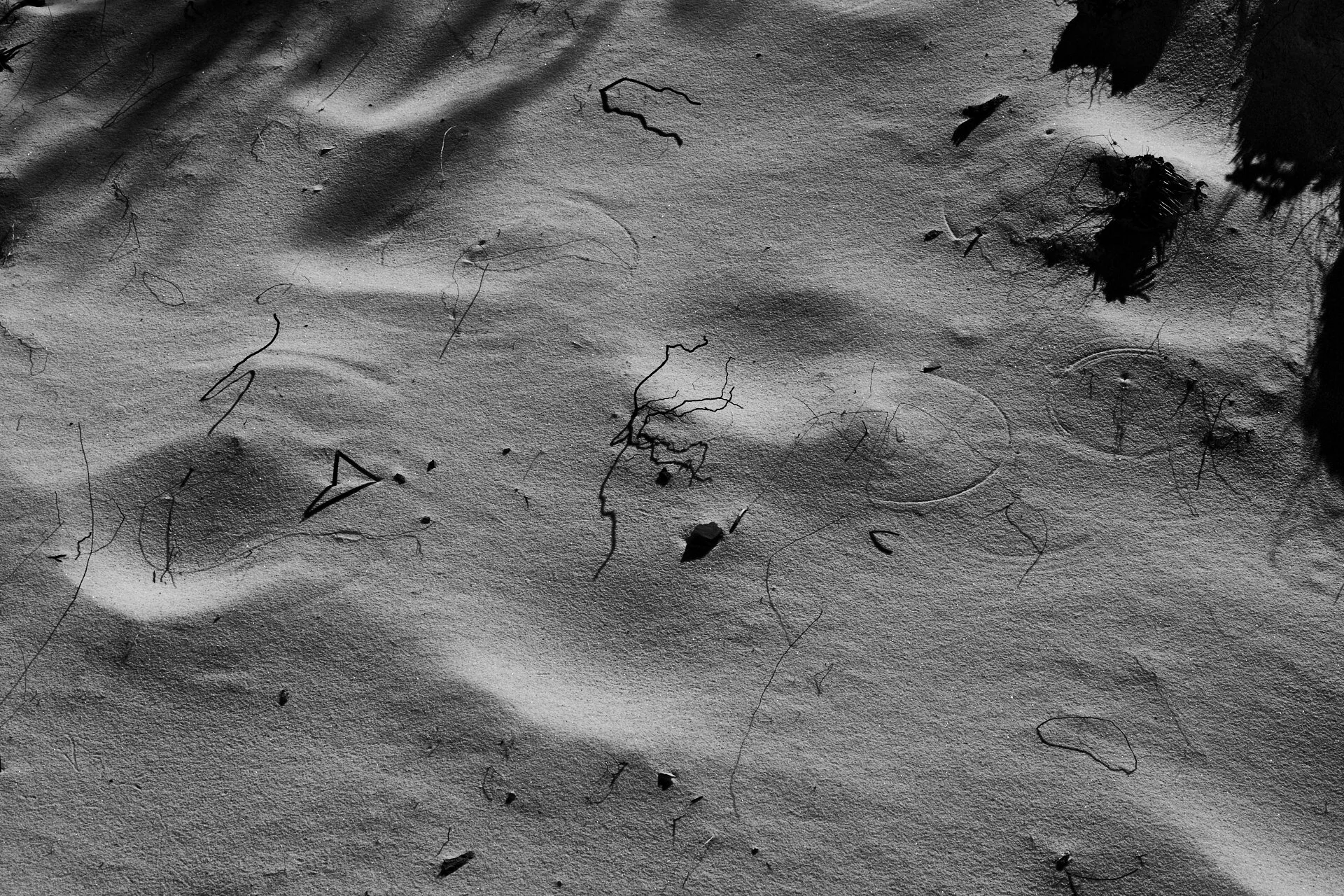 Whispers on the Dunes.jpg