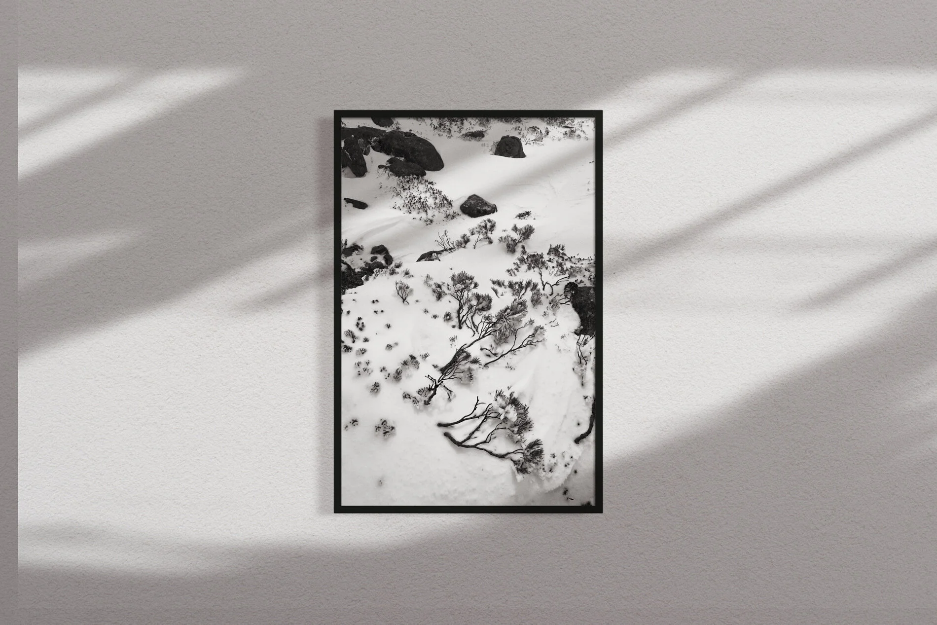 SNOWSCAPE MOCKUP.jpg