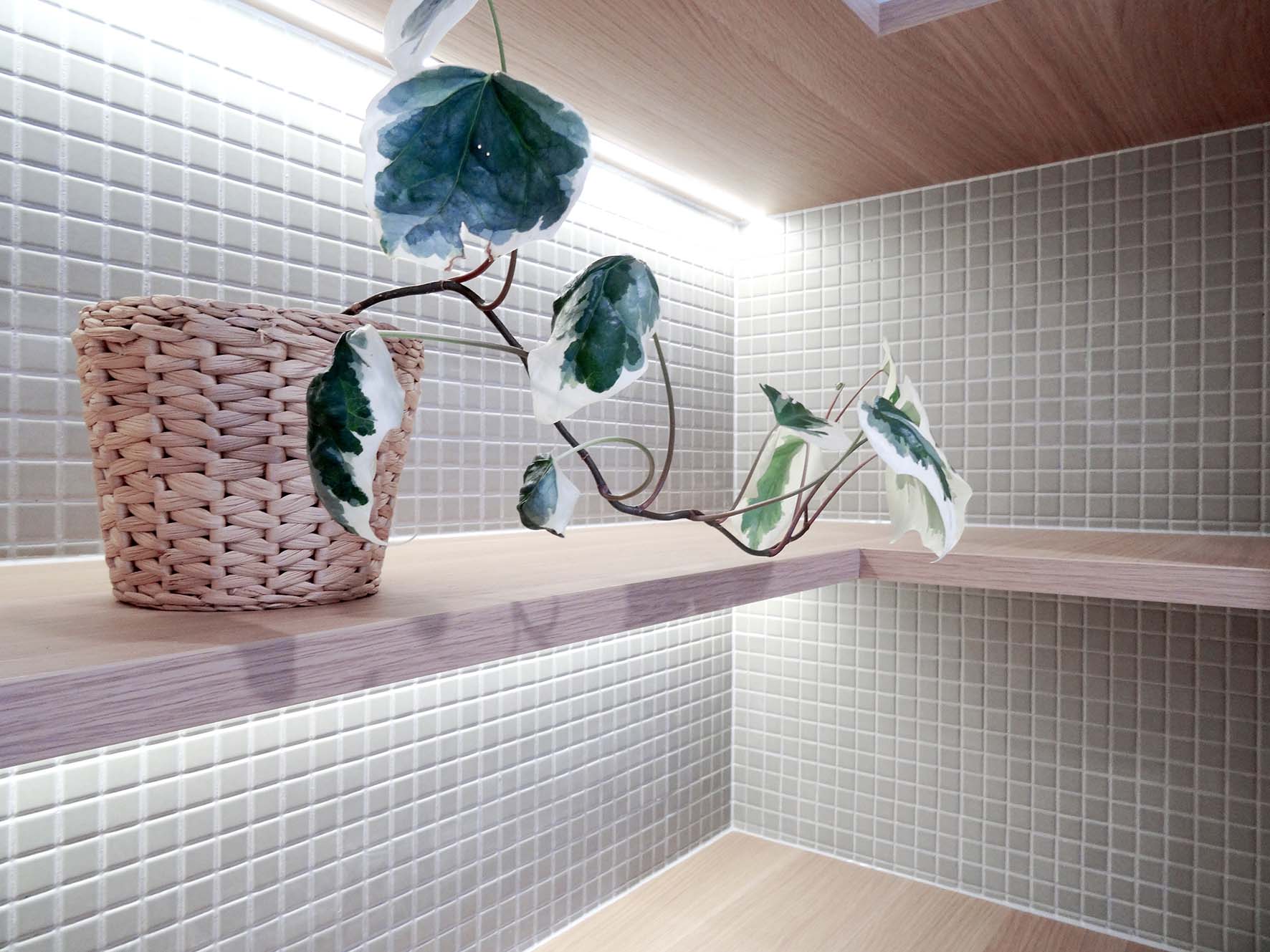 Kitchen detail 01.jpg