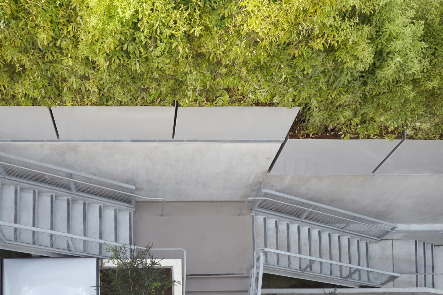 san-francisco-architect-183.jpg