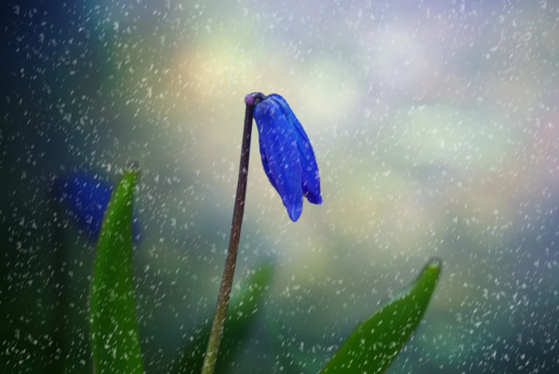 Feeling Sluggish this Spring? Try Ayurveda to Bring Balance