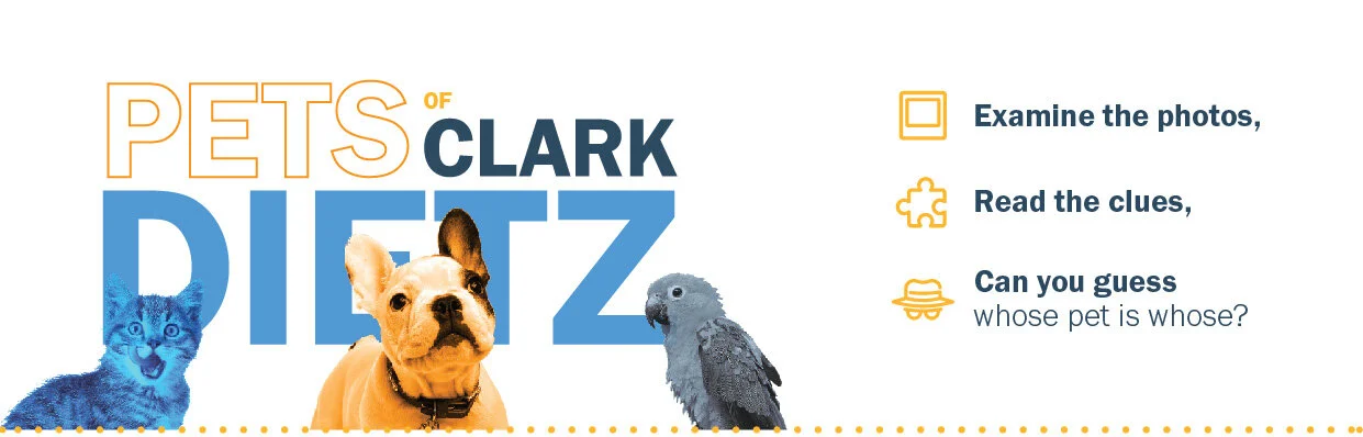 E-mail header.jpg