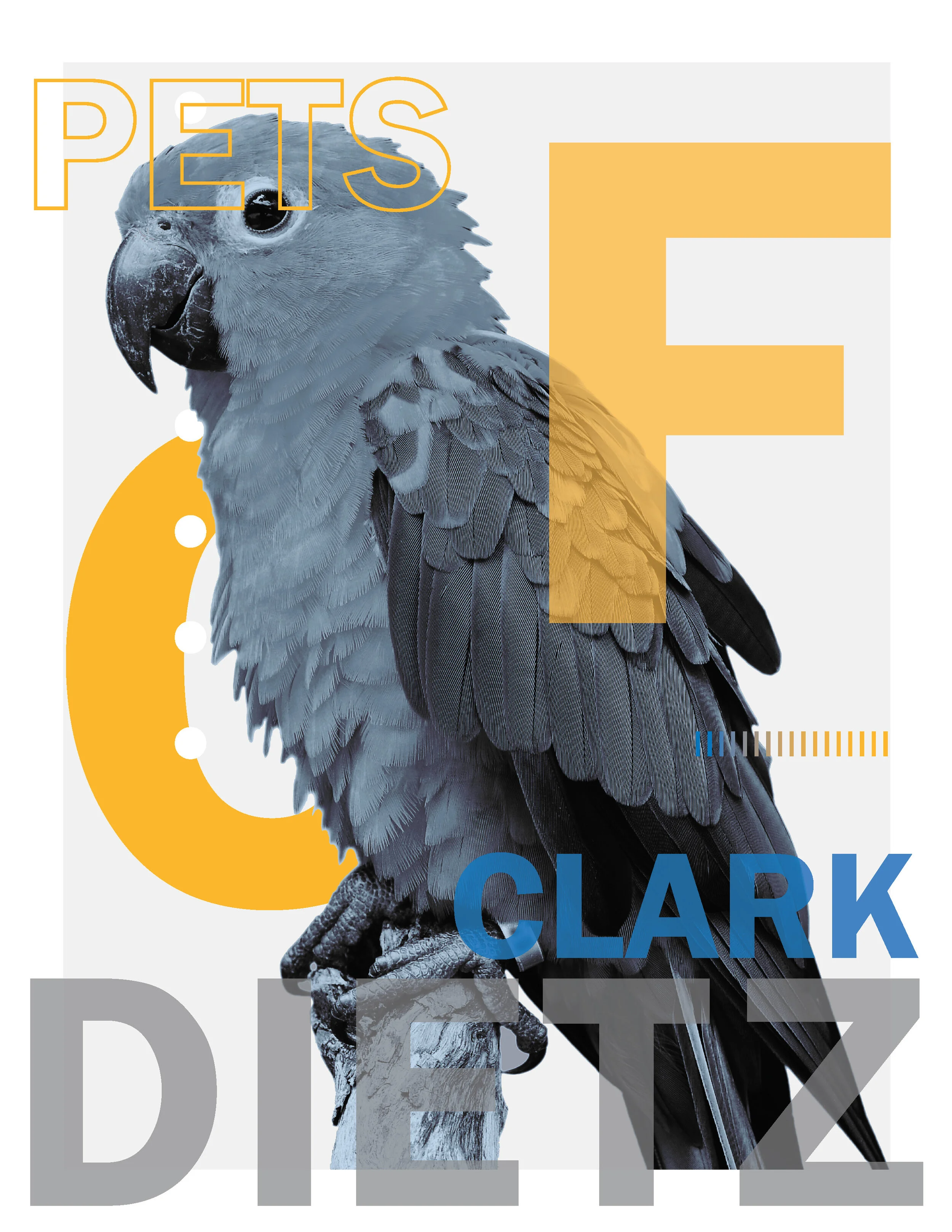 Parrot.jpg