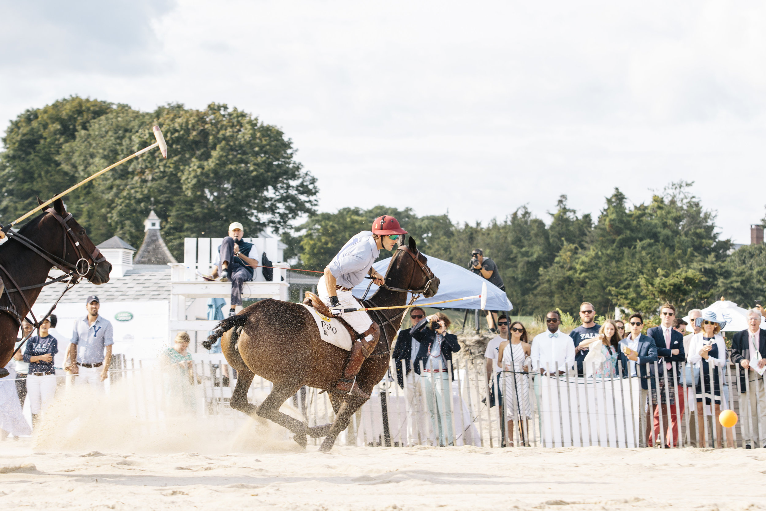 polo2.jpg