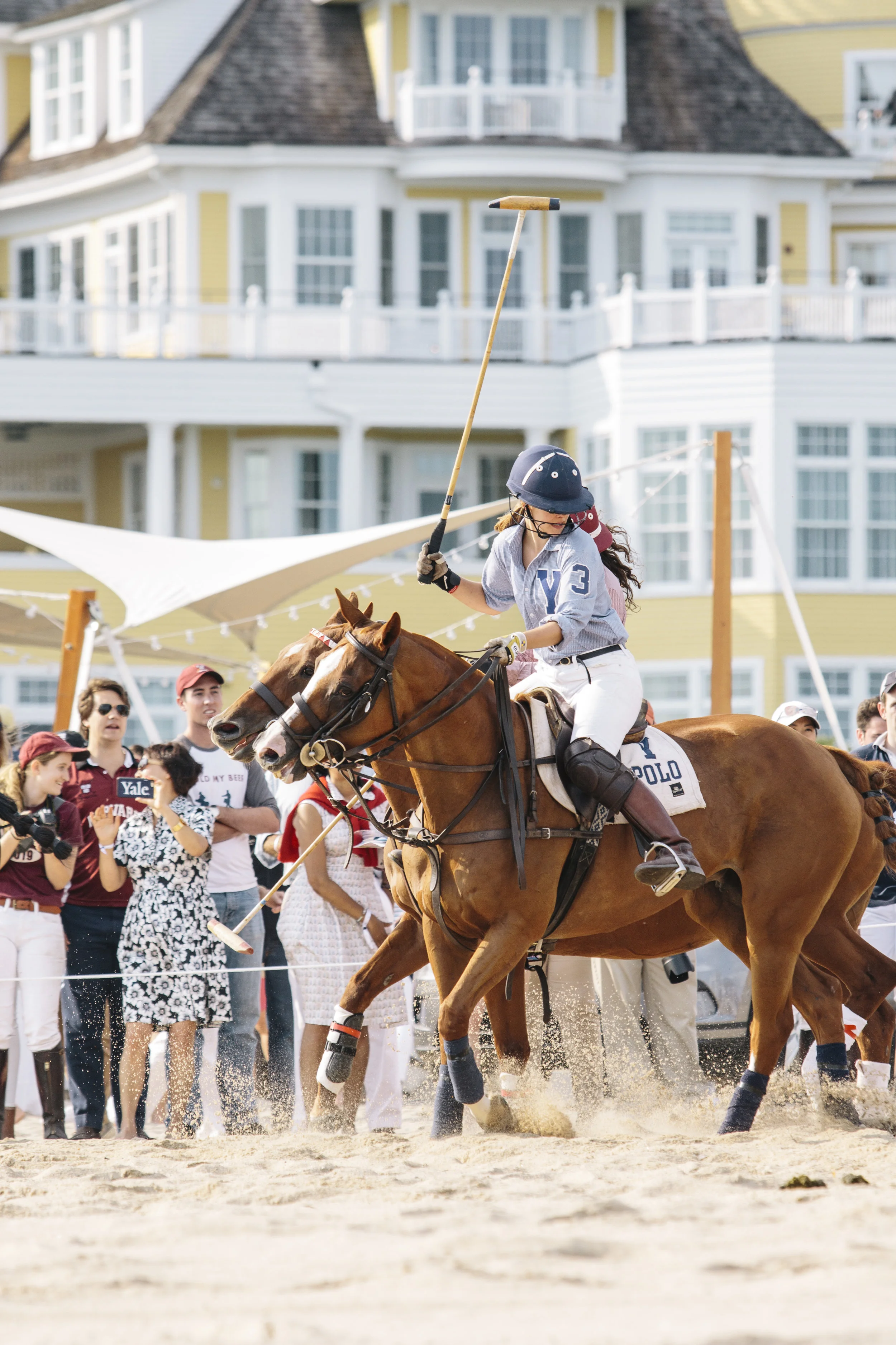polo1.jpg