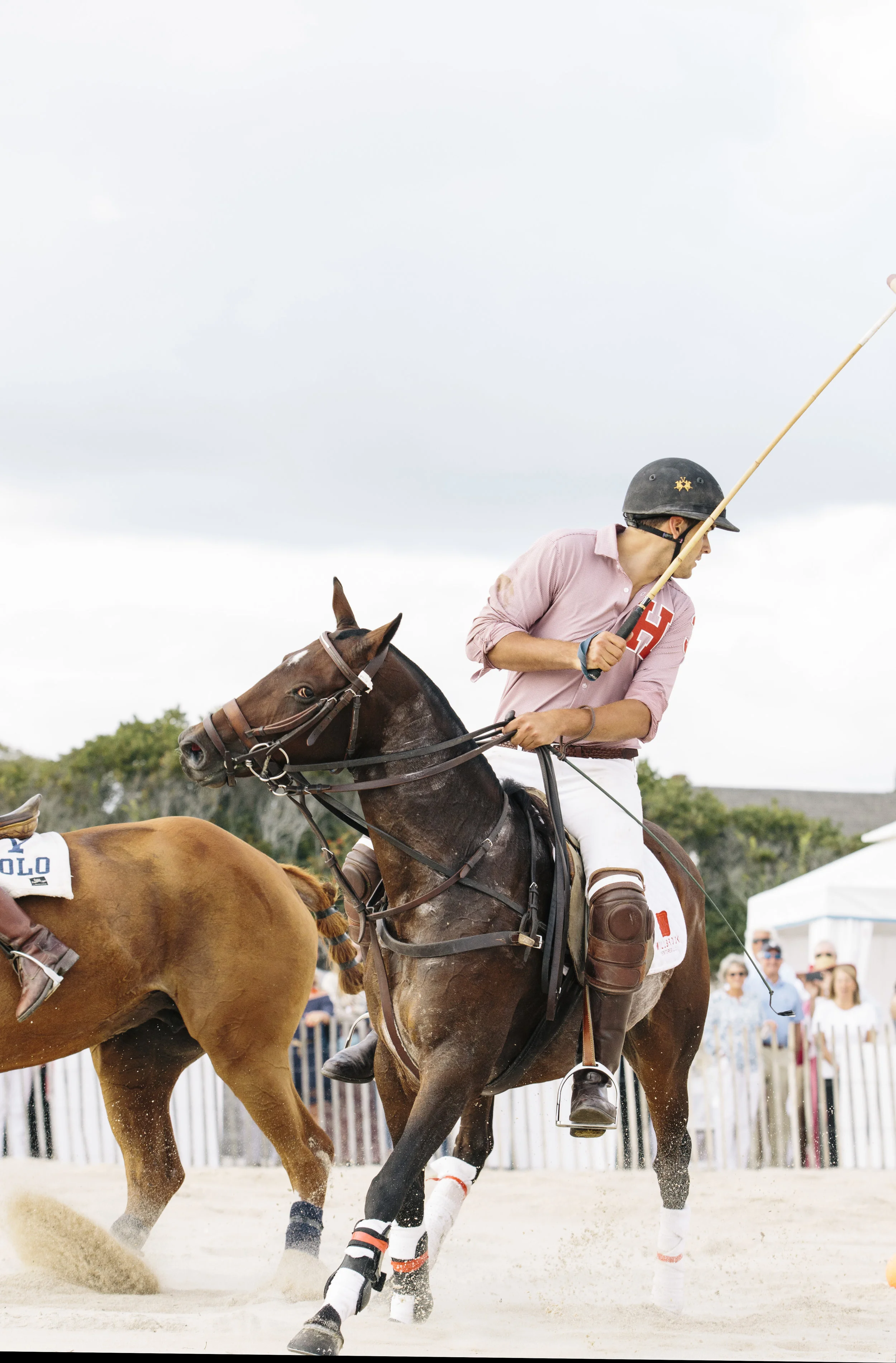 polo5.jpg