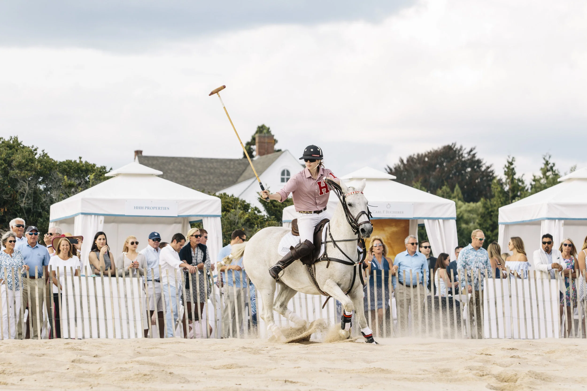 polo6.jpg