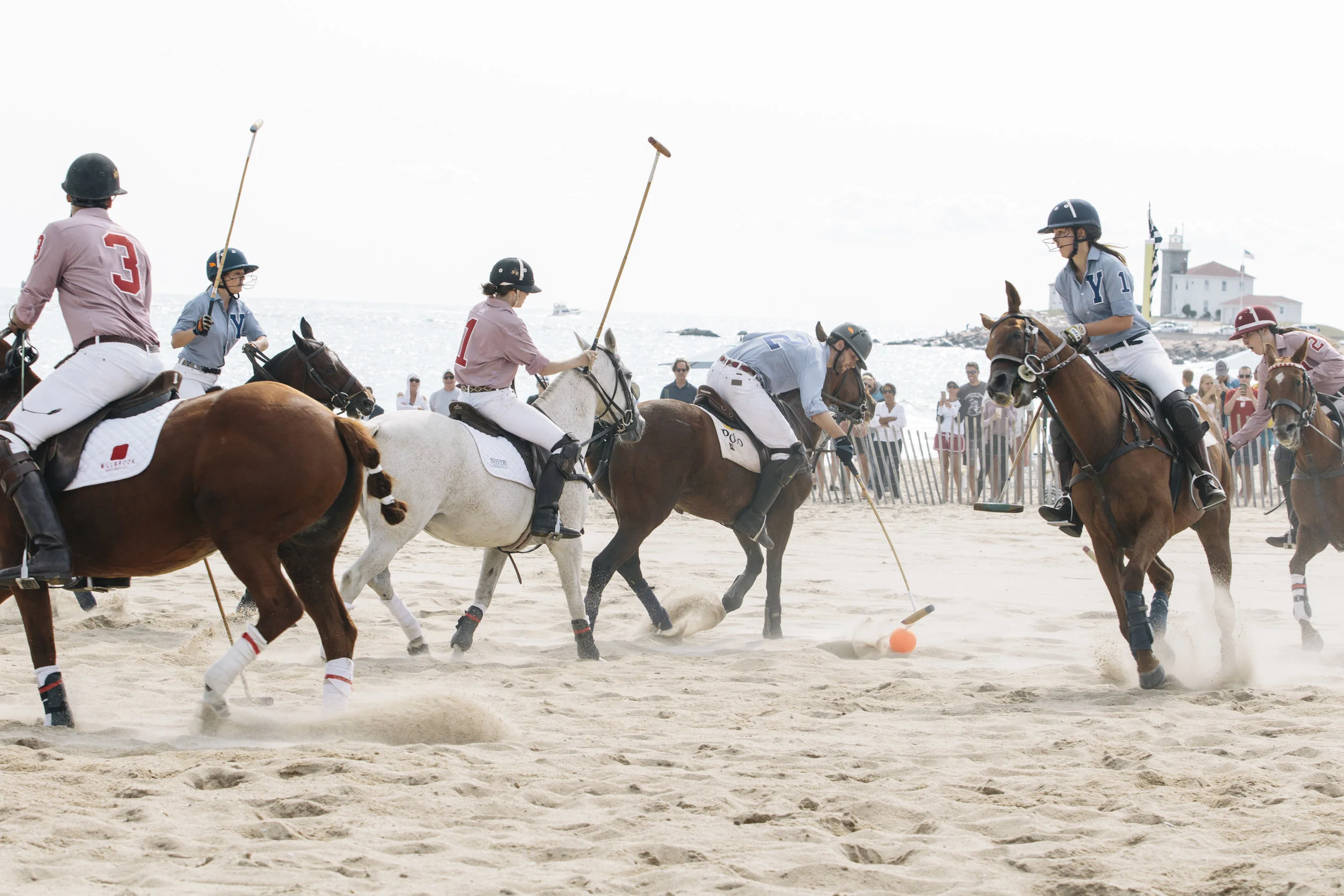 polo76.jpg