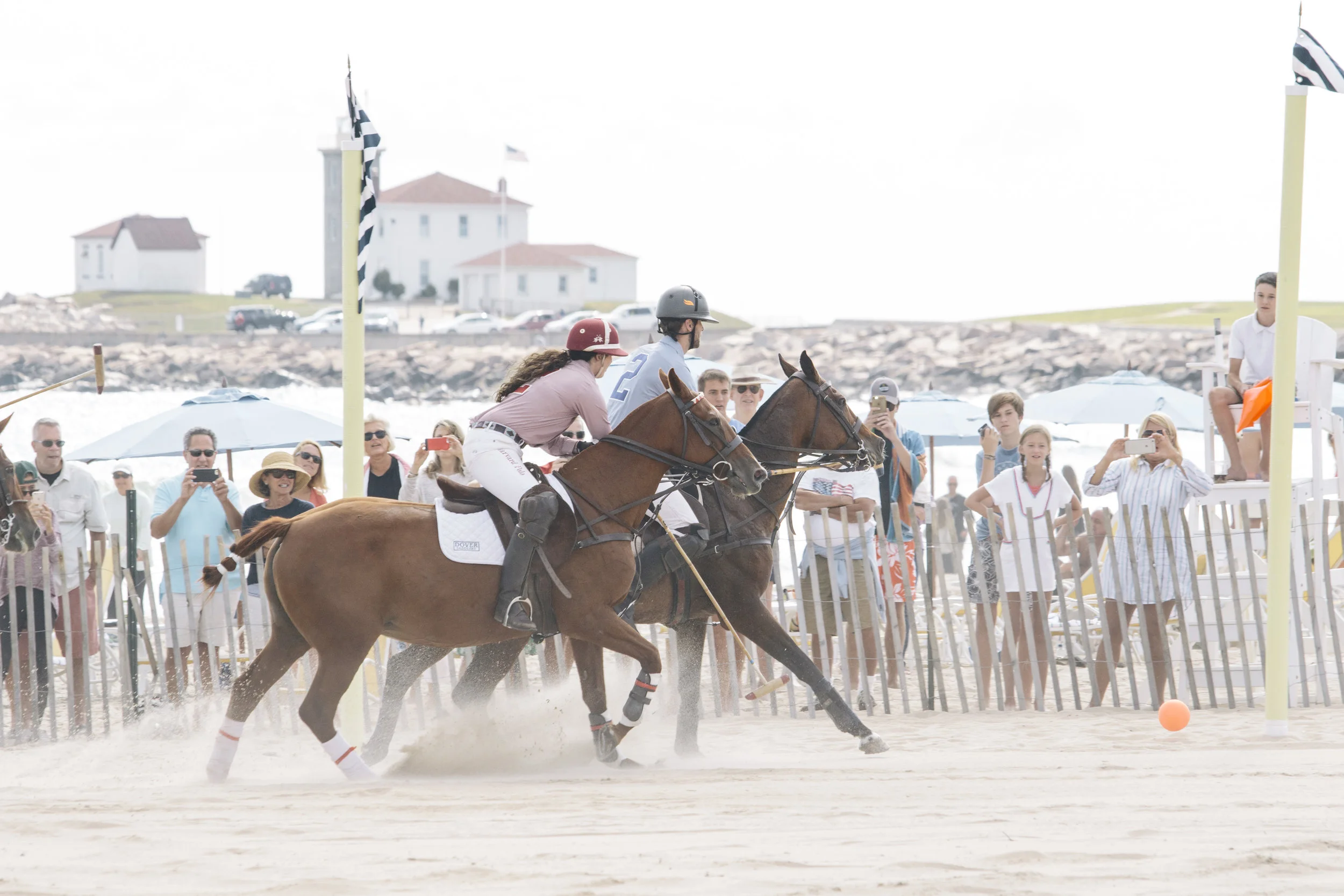 polo77.jpg