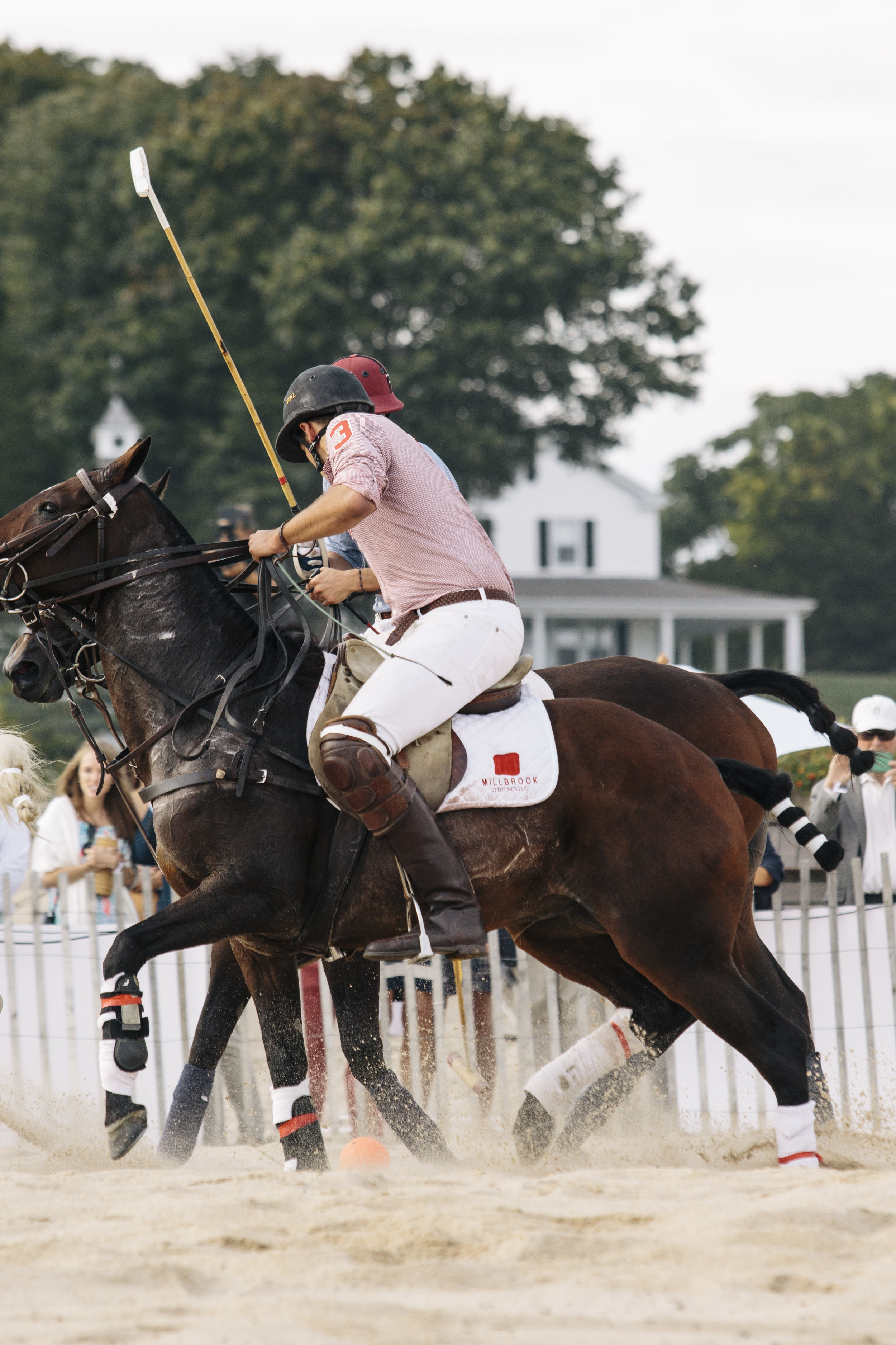 polo83.jpg