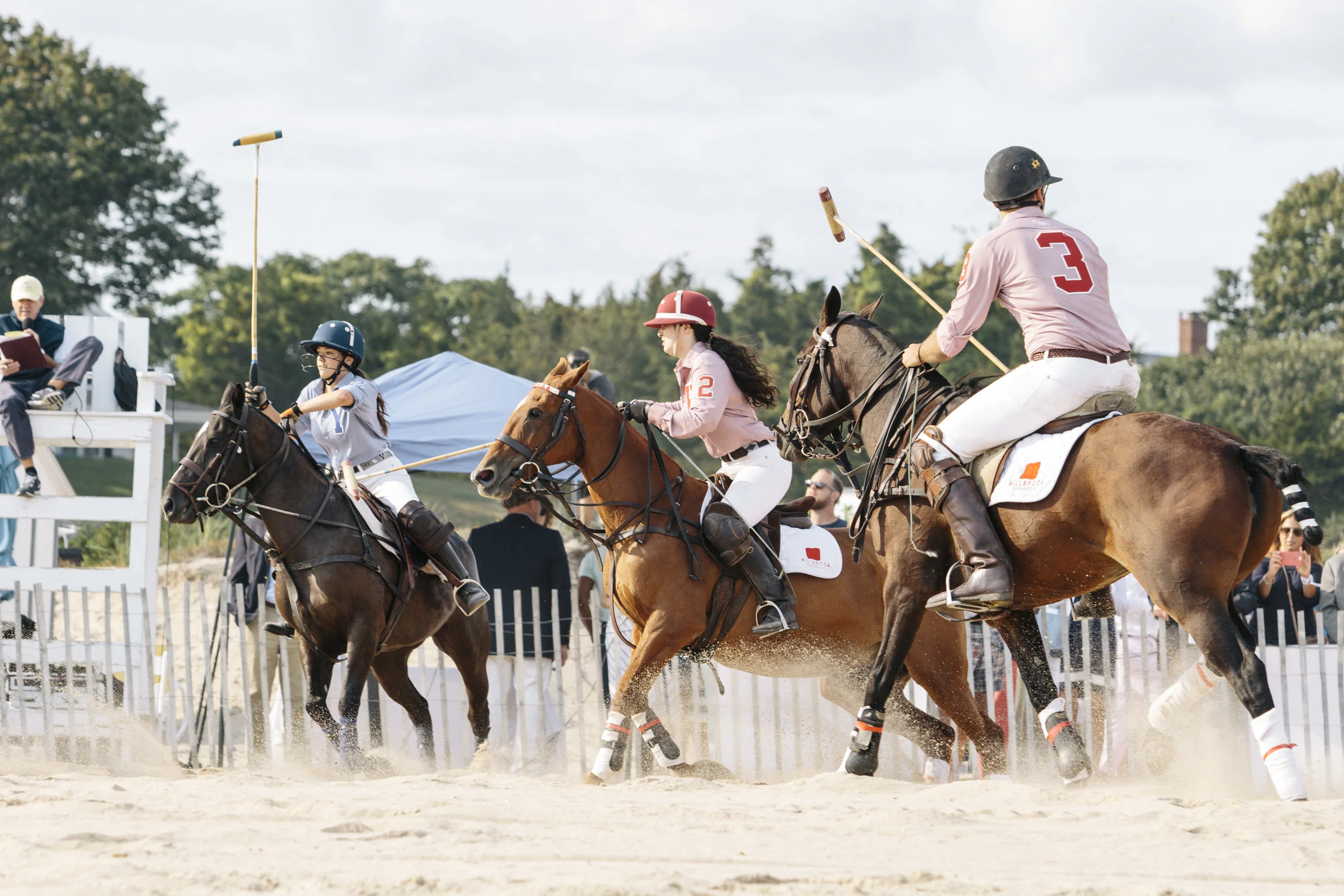 polo84.jpg