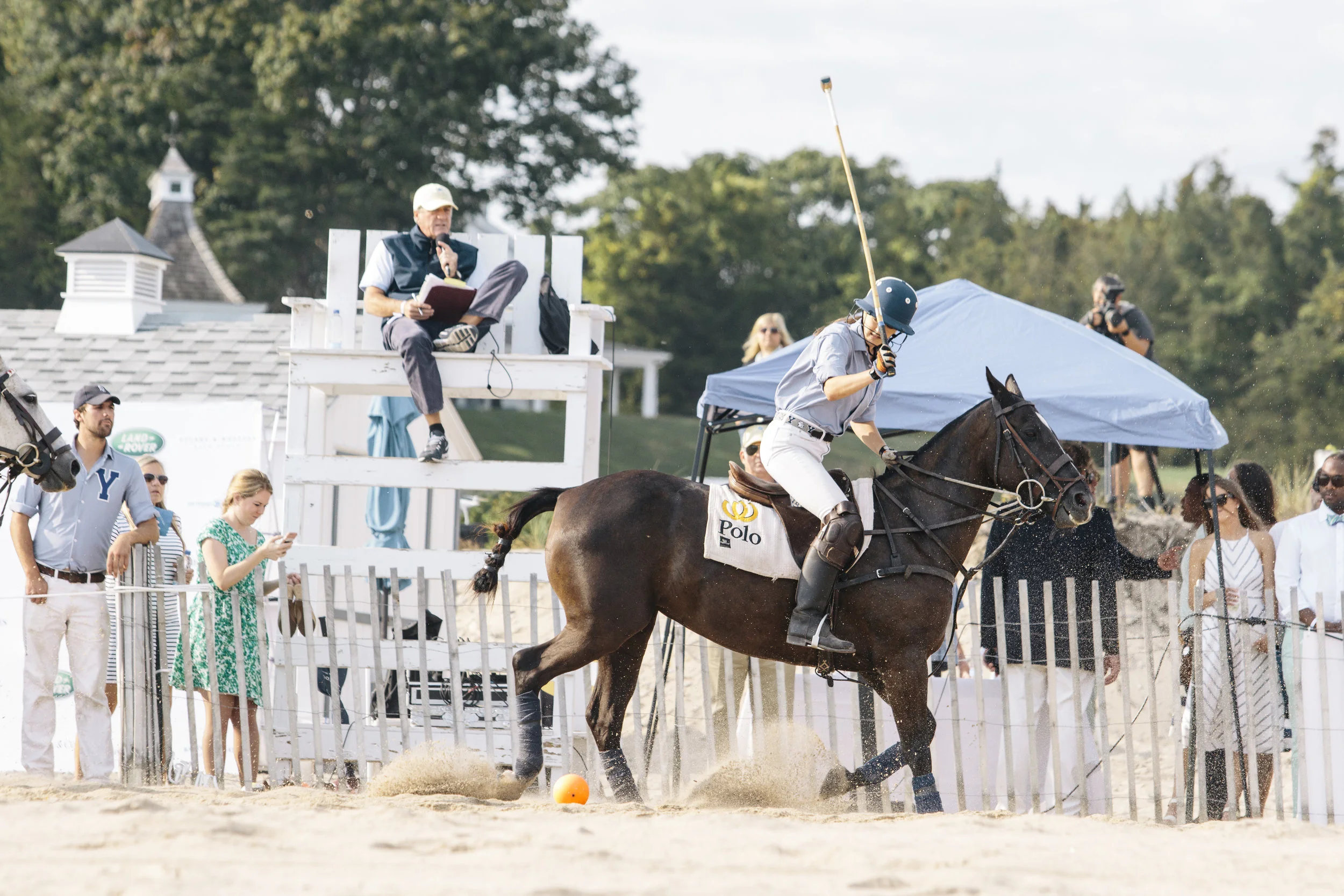polo85.jpg