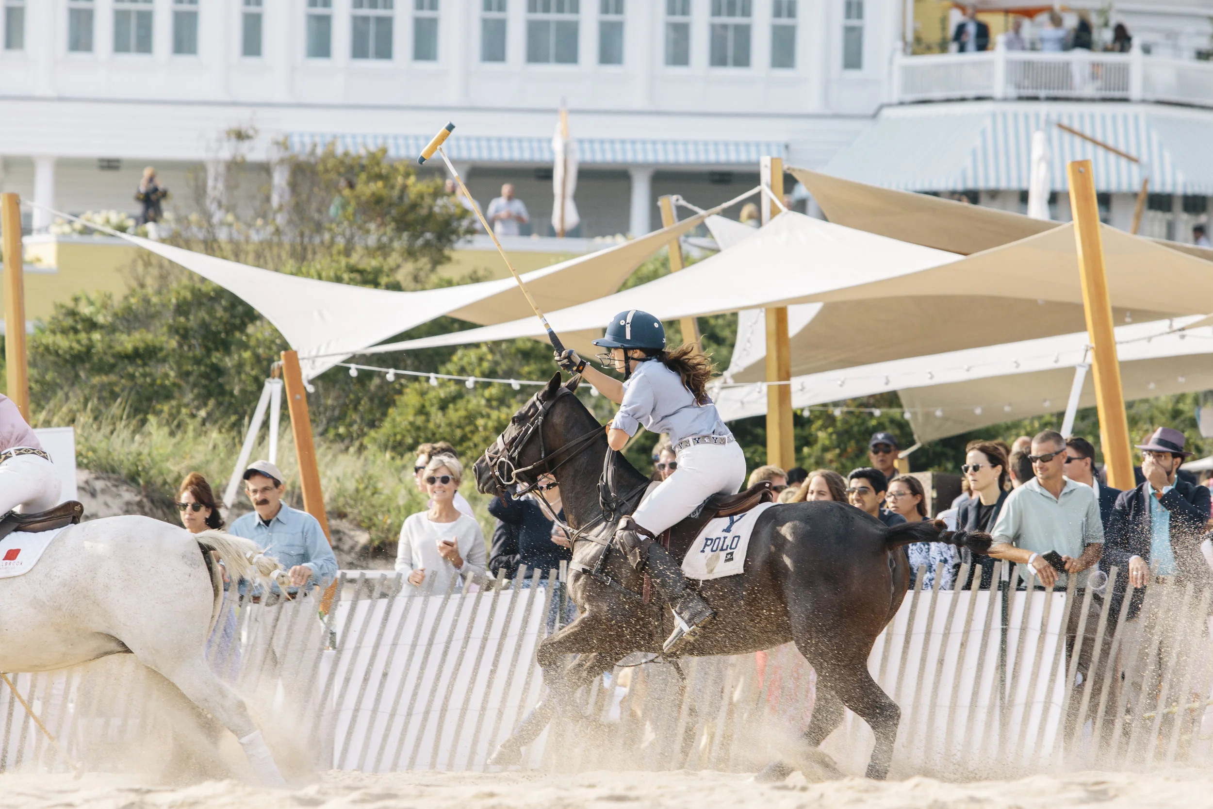 polo86.jpg
