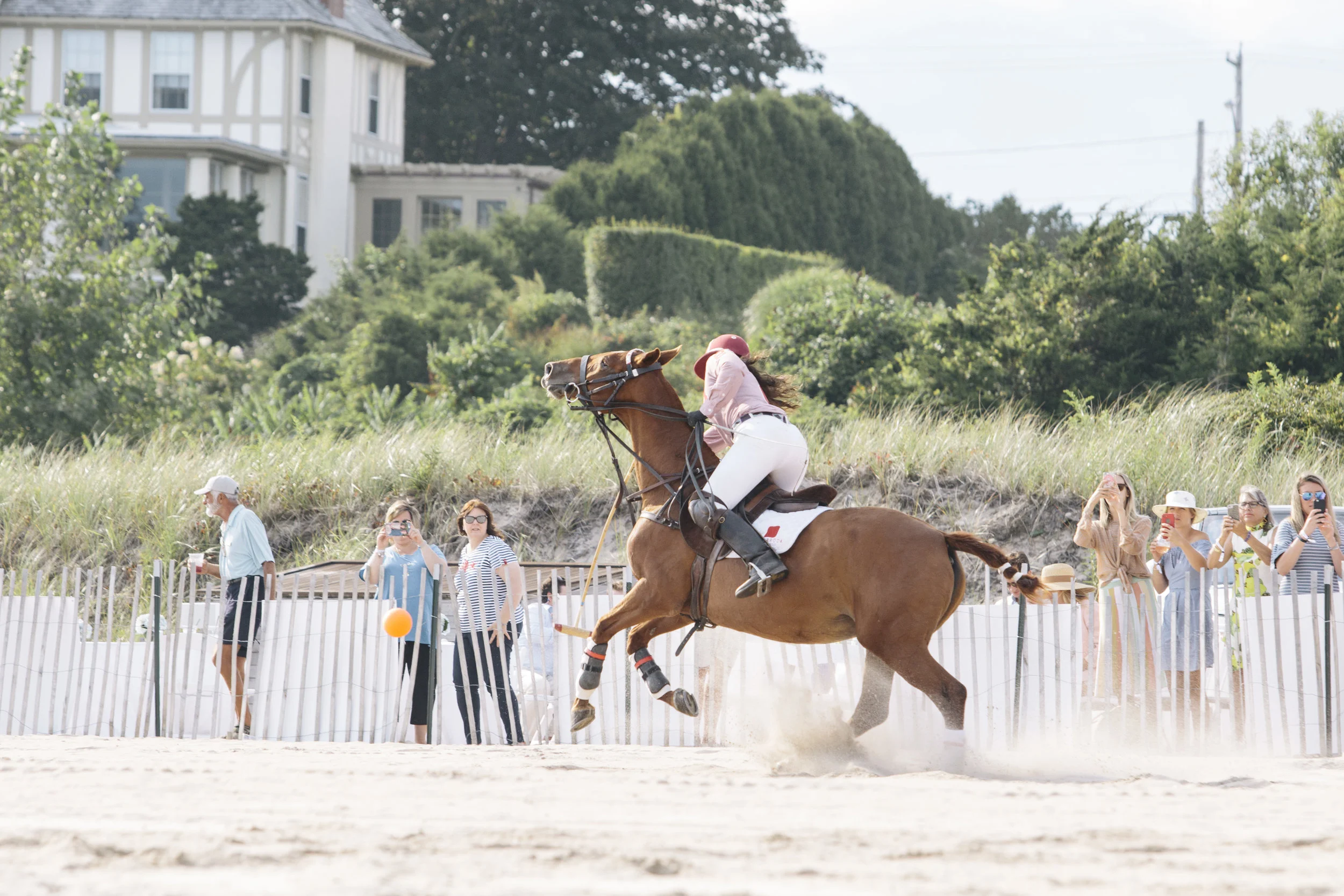 polo87.jpg