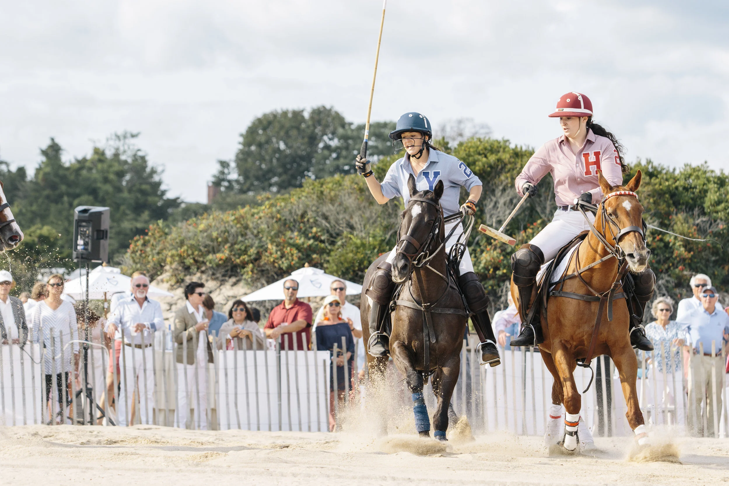 polo94.jpg