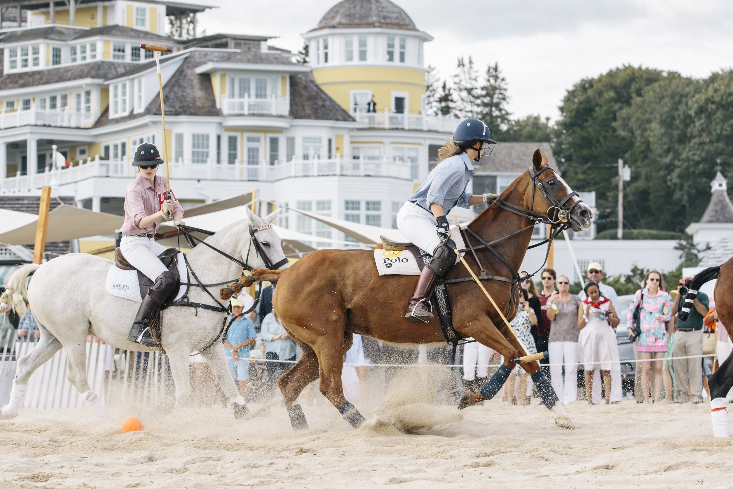 polo101.jpg