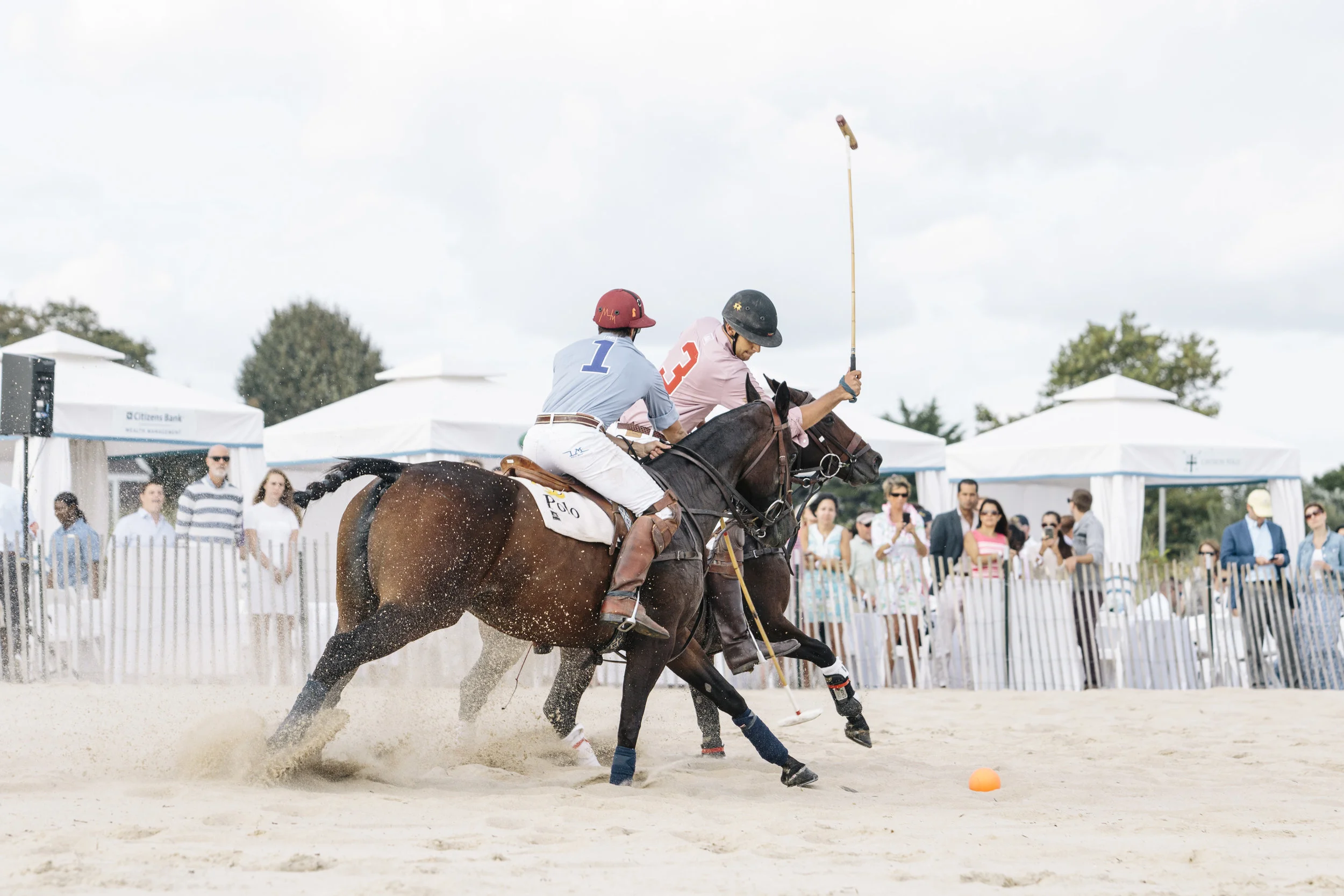 polo104.jpg