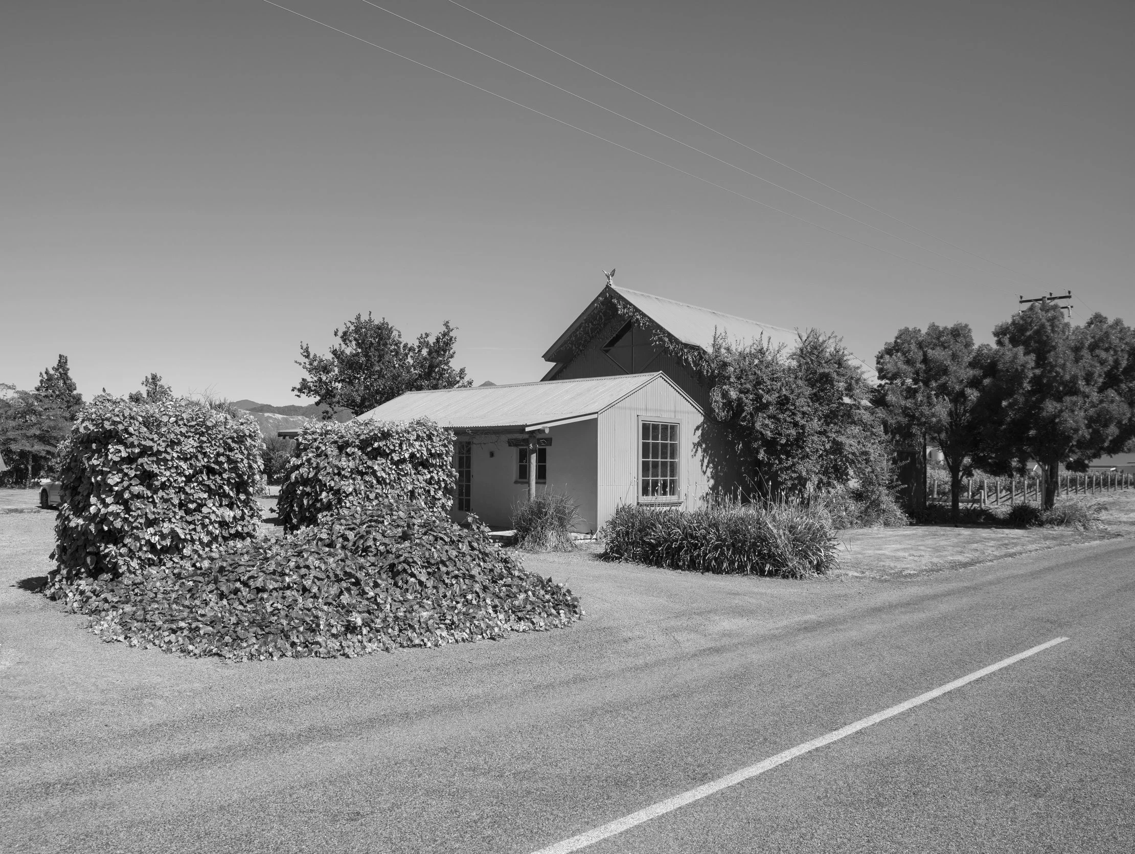 ACCUBODY Lorree Wilson RBPHOTO.jpg