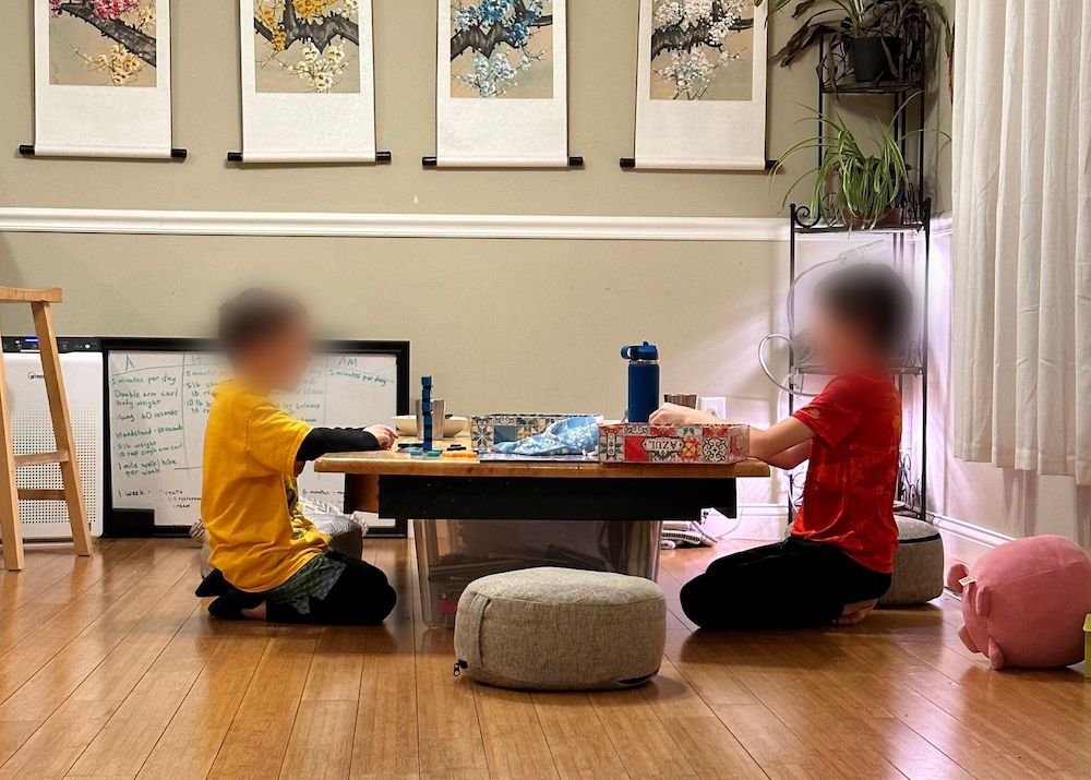 Sitting Cushion — Venn Design | Ergonomic Desk Chairs Sitting Cushion — Venn Design | Ergonomic Desk Chairs