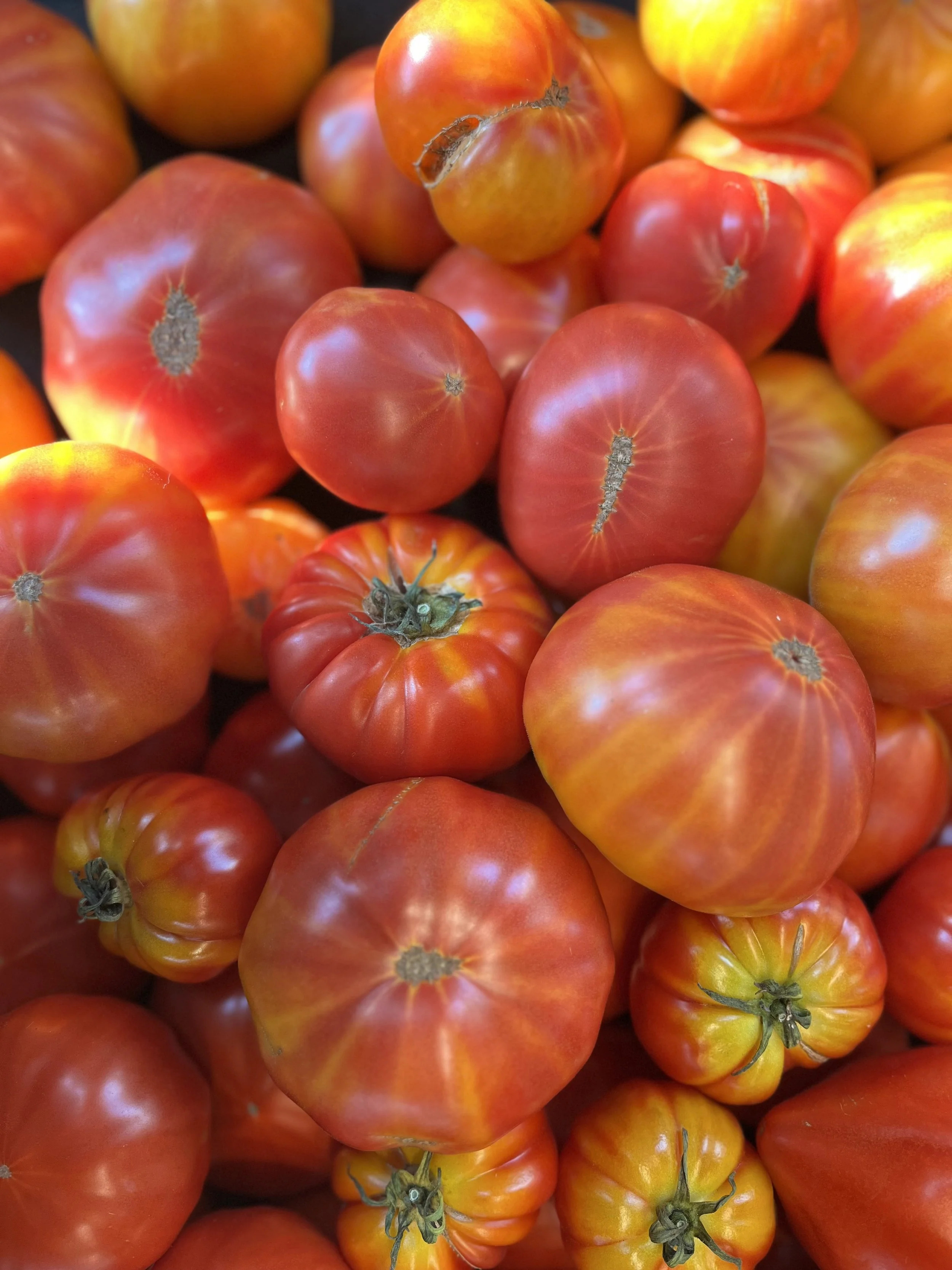 WEST SEATTLE RESIDENCE (THURSDAY)