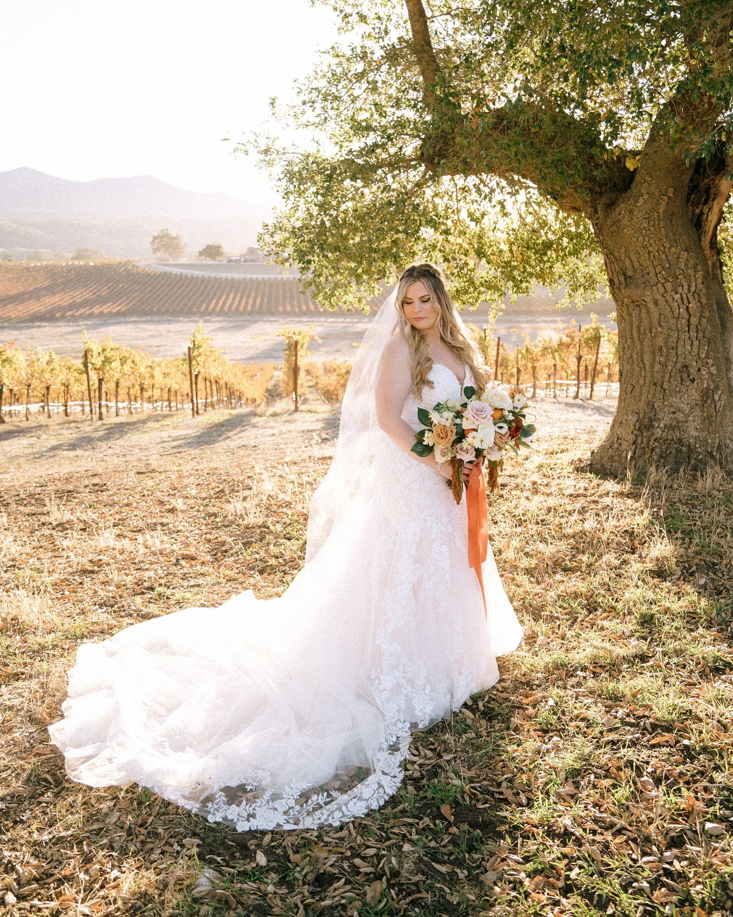 Happy Anniversary to two of my favorite people. ☀️ Throwing it back to two years ago in California. What a beautiful, love filled adventure it was. Reflecting back on the past few years of travel, the evolution of my business, and my own personal gro