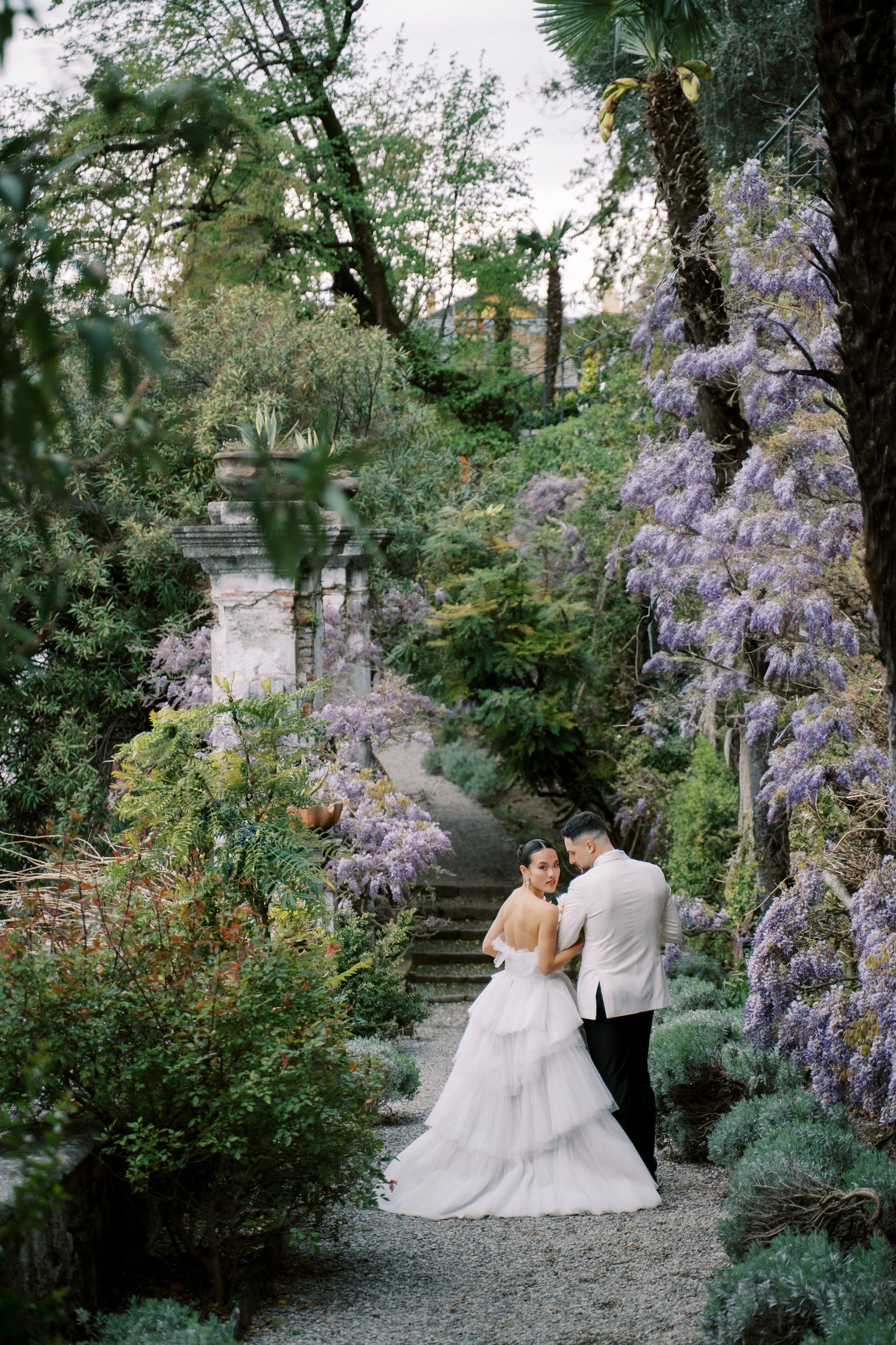 wisteria-1 2.JPG
