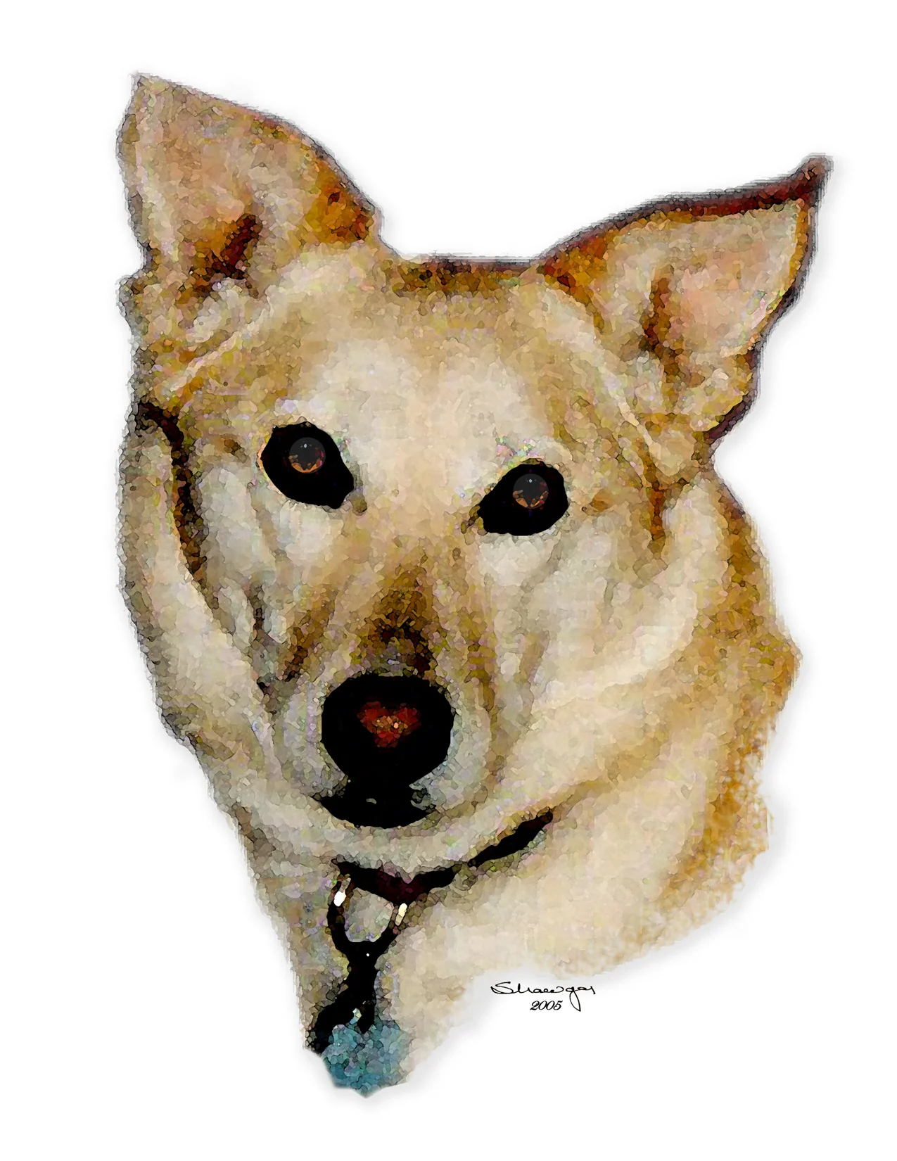 Maggie copy.jpg